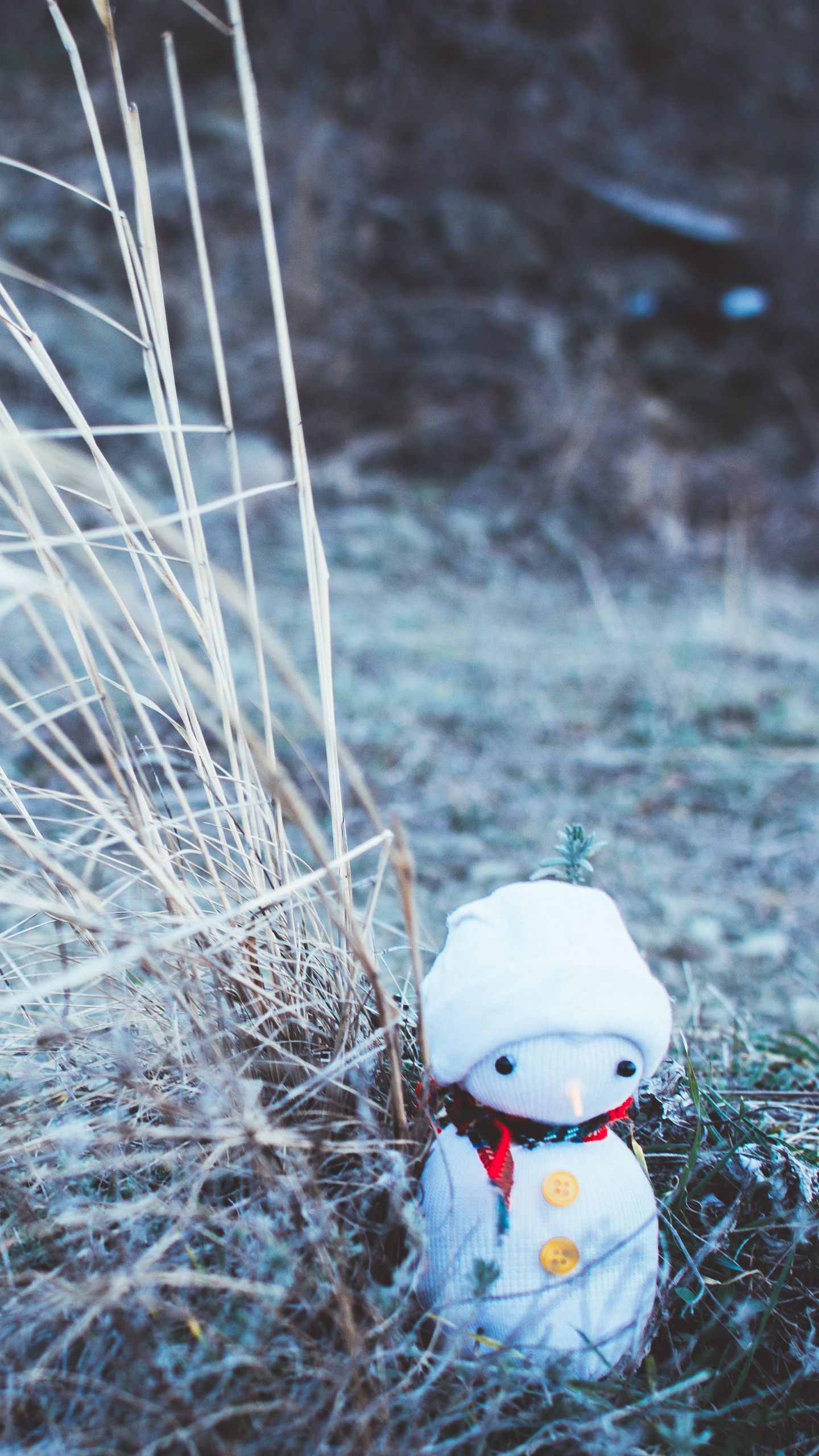 Bonhomme, Nouvelle Année, Le Jour De Noël, Eau, L'herbe de la Famille. Wallpaper in 1440x2560 Resolution