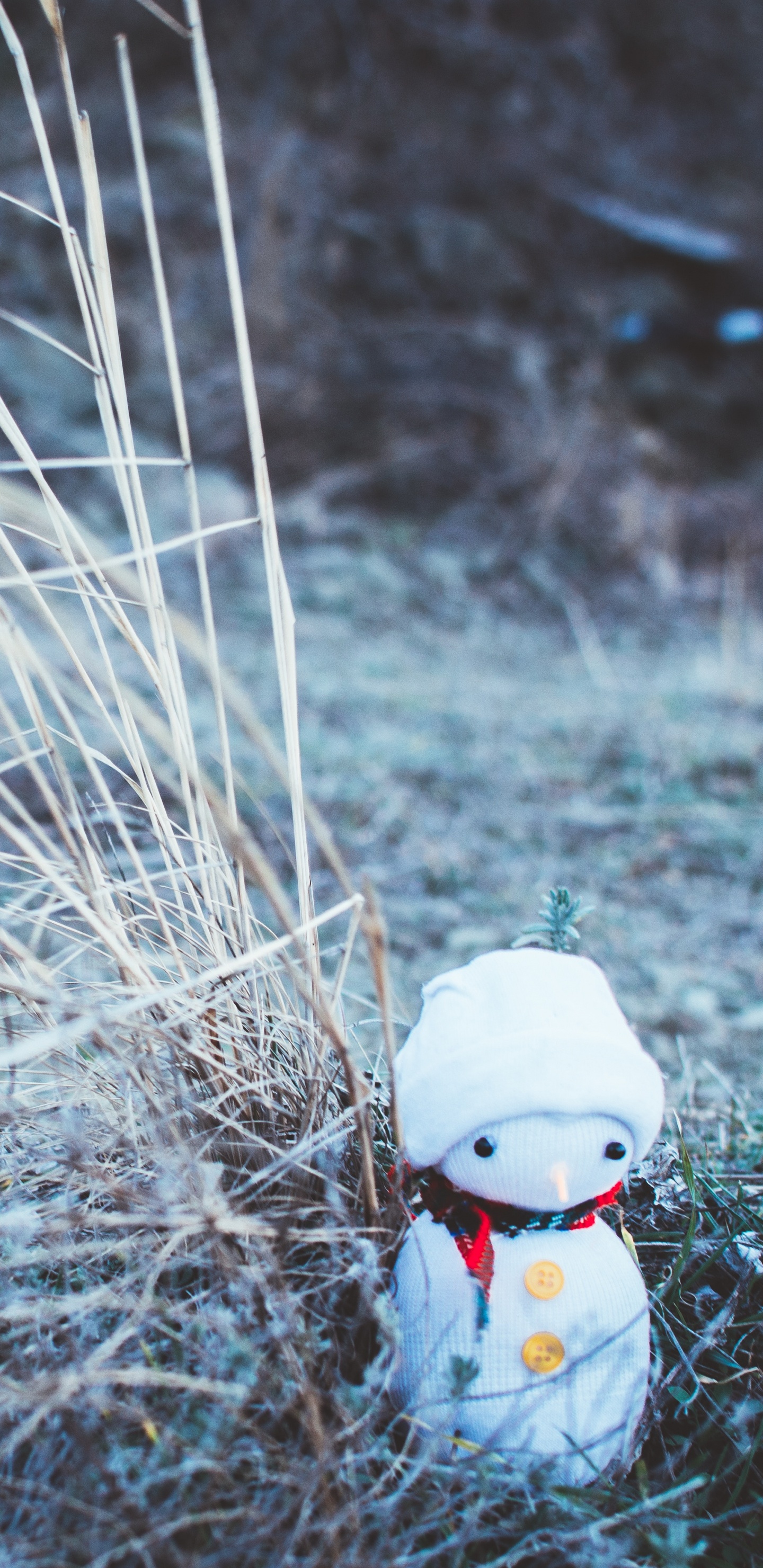 Bonhomme, Nouvelle Année, Le Jour De Noël, Eau, L'herbe de la Famille. Wallpaper in 1440x2960 Resolution