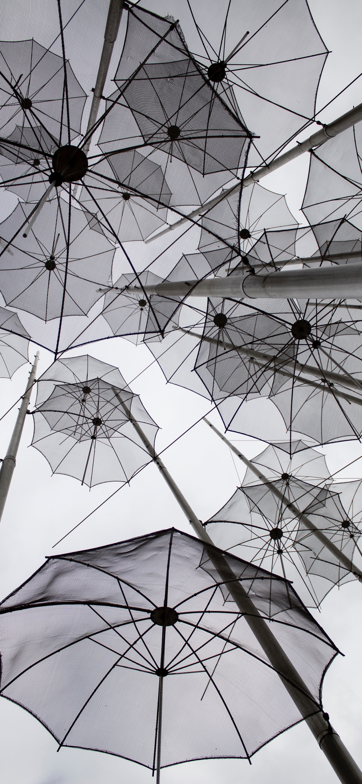 White Umbrellas on Gray Metal Frame. Wallpaper in 1242x2688 Resolution