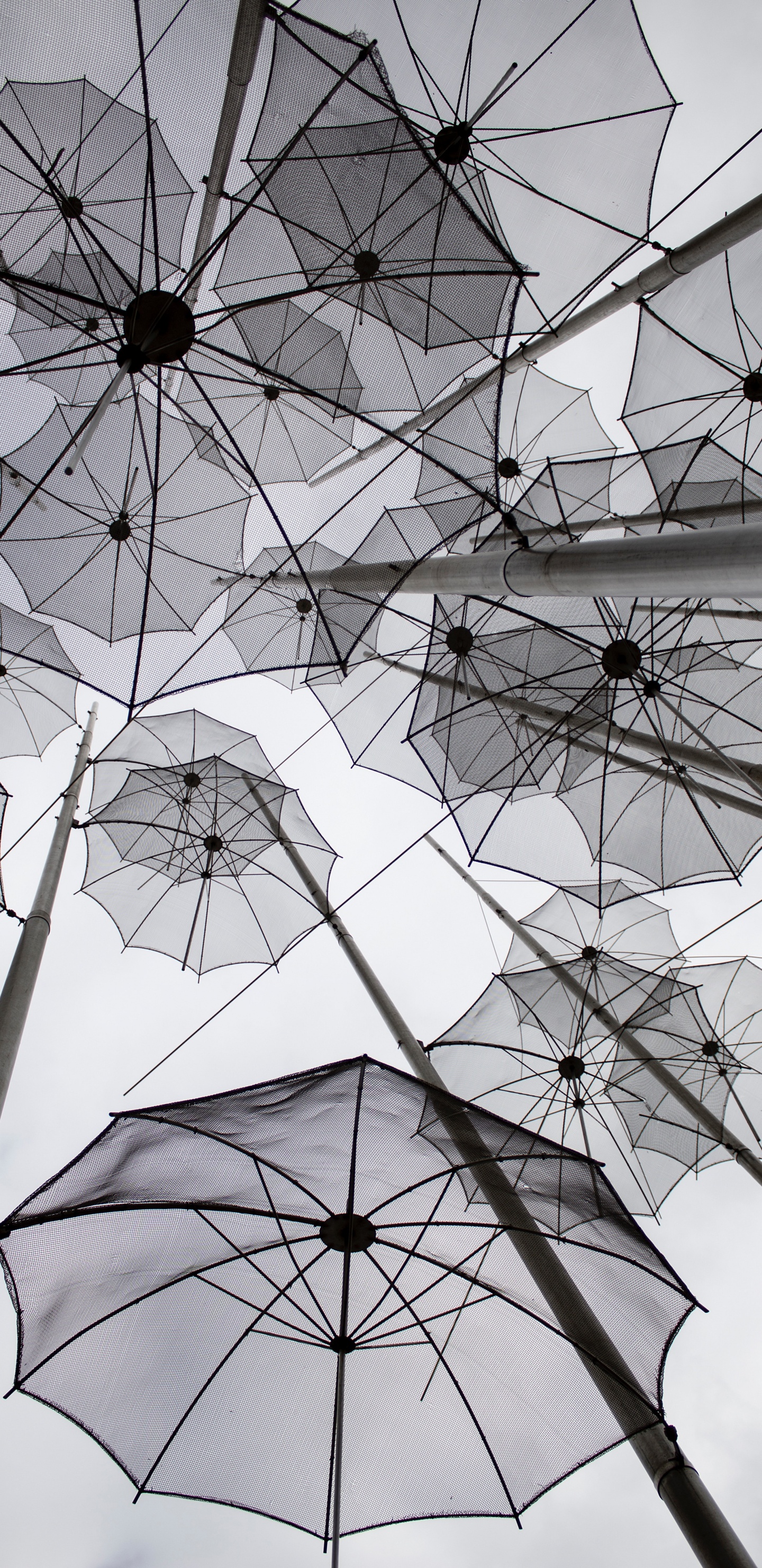 White Umbrellas on Gray Metal Frame. Wallpaper in 1440x2960 Resolution