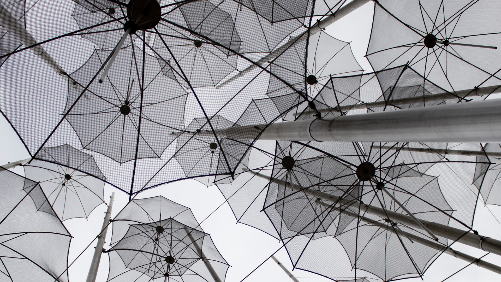 White Umbrellas on Gray Metal Frame. Wallpaper in 1920x1080 Resolution