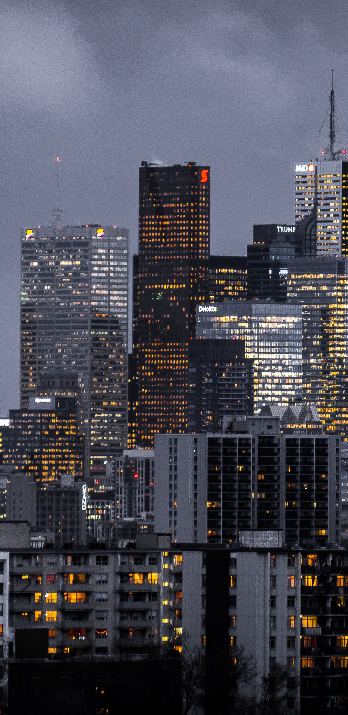 城市景观, 城市, 大都会, 天际线, 塔块 壁纸 1440x2960 允许