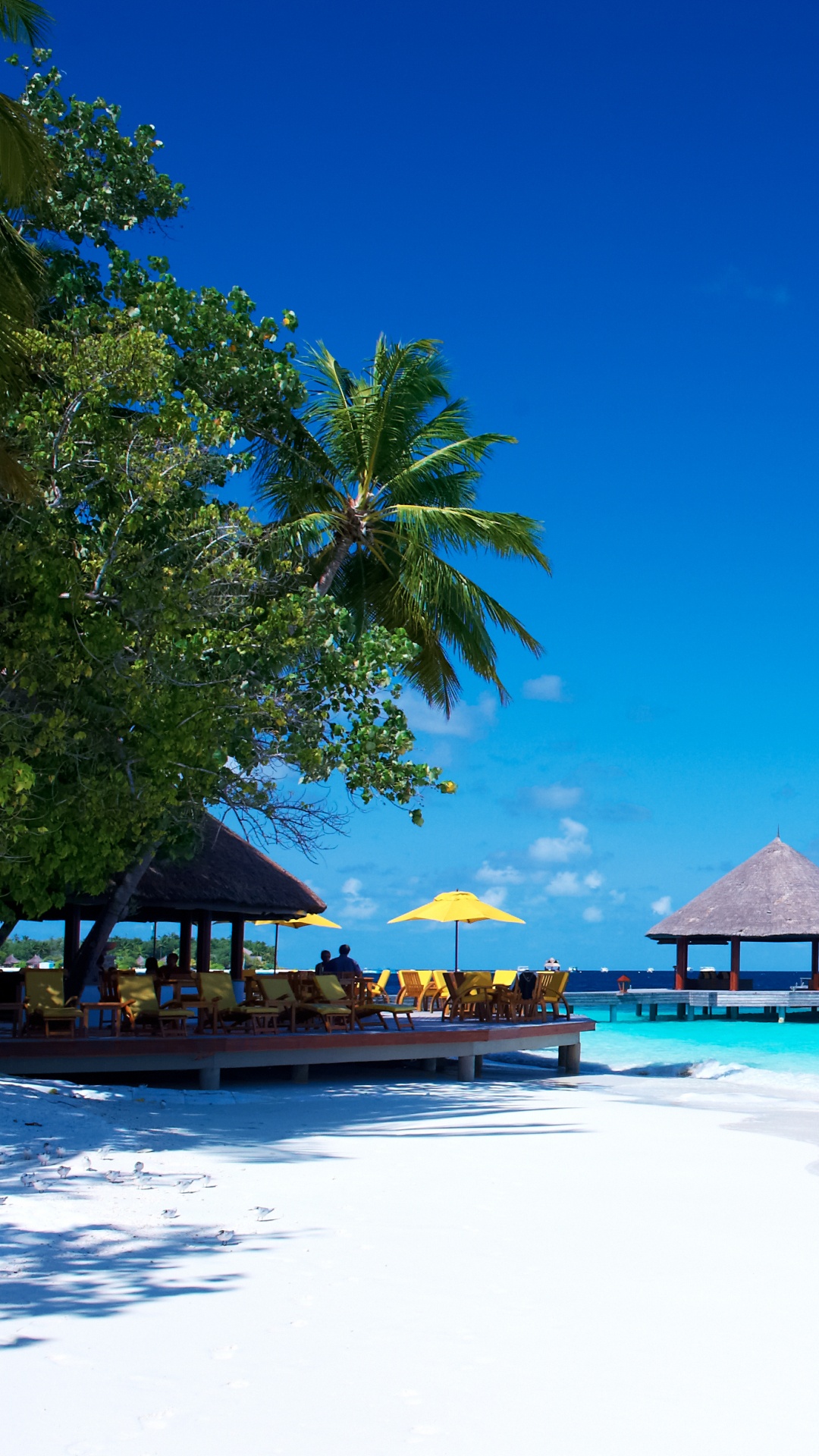 度假村, 度假小岛, 热带地区, 大海, 加勒比 壁纸 1080x1920 允许