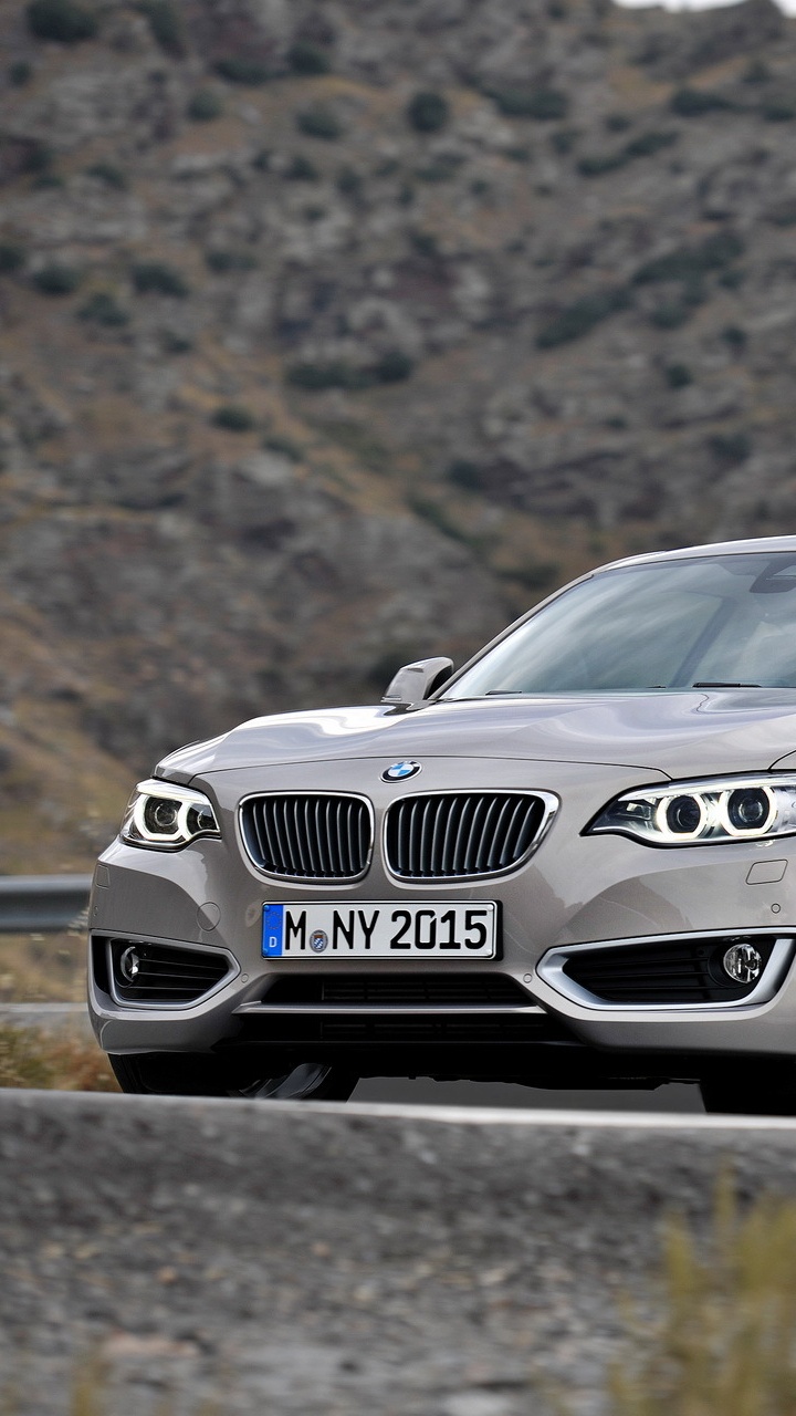 2014宝马2系双门轿跑车, 宝马, 个人的豪华轿车, BMW4系, 执行汽车 壁纸 720x1280 允许