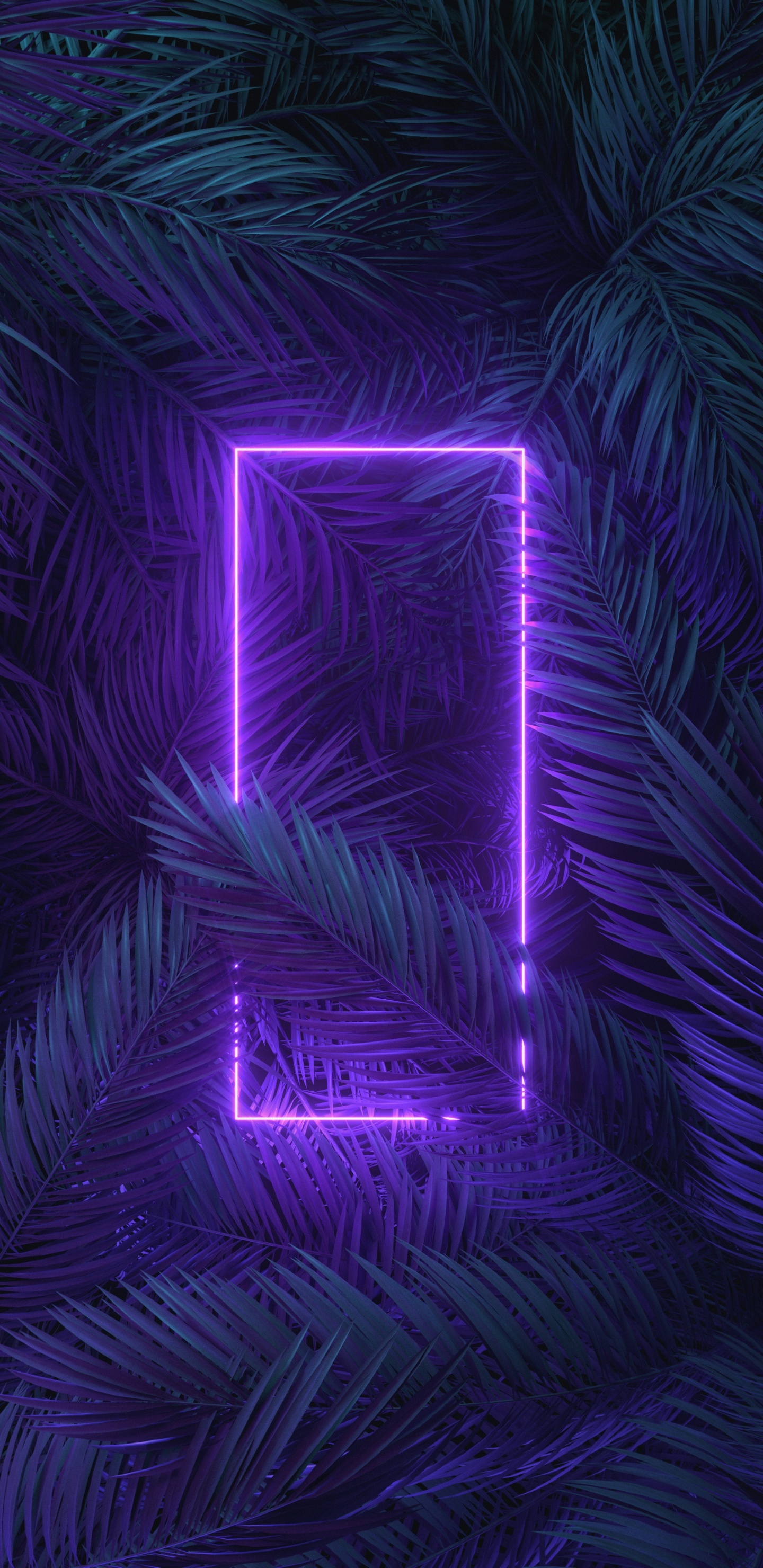 Purple, Électricité, Violette, Art, Technologie. Wallpaper in 1440x2960 Resolution