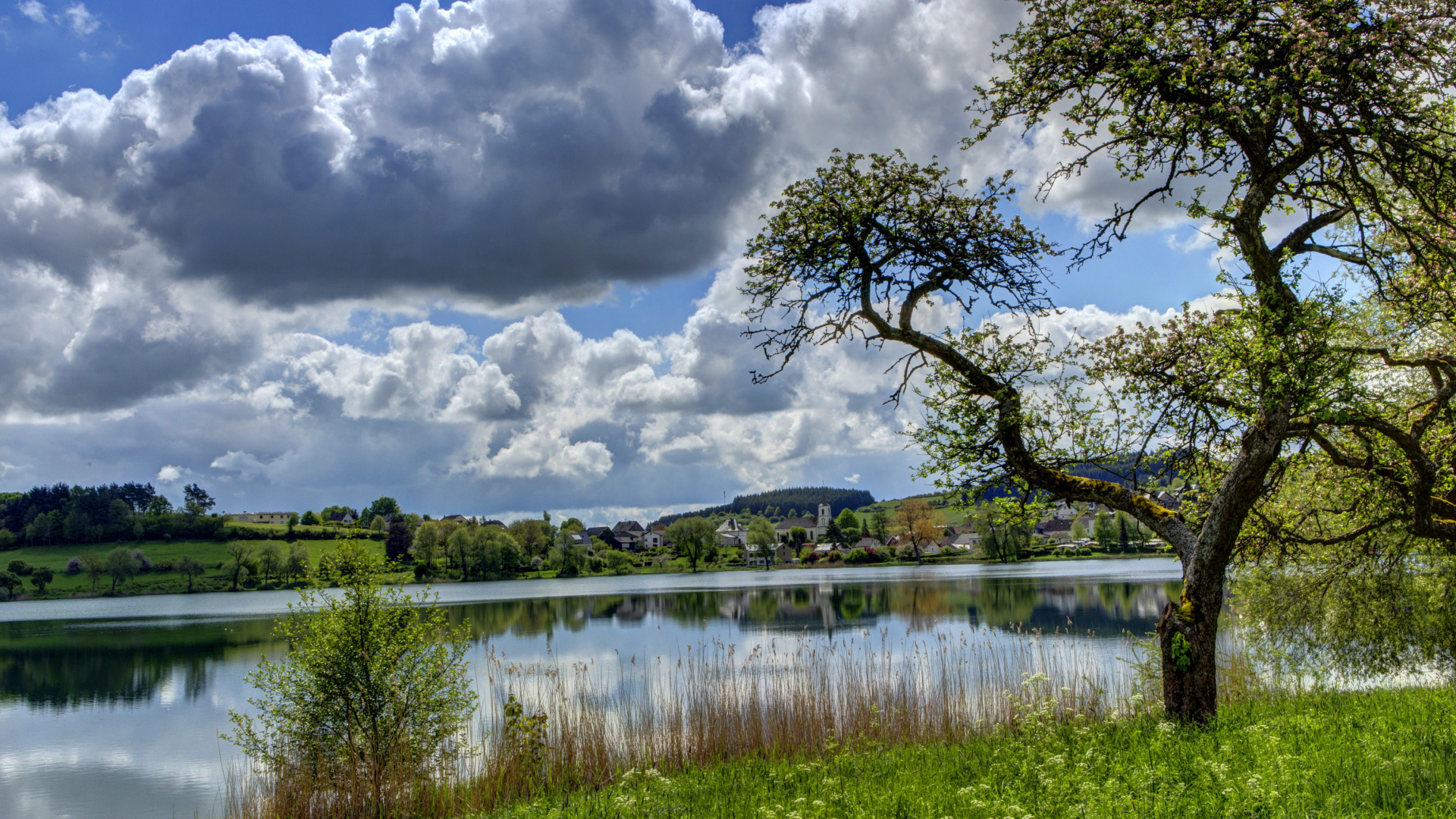 Green Trees Beside Lake Under White Clouds and Blue Sky During Daytime. Wallpaper in 1920x1080 Resolution