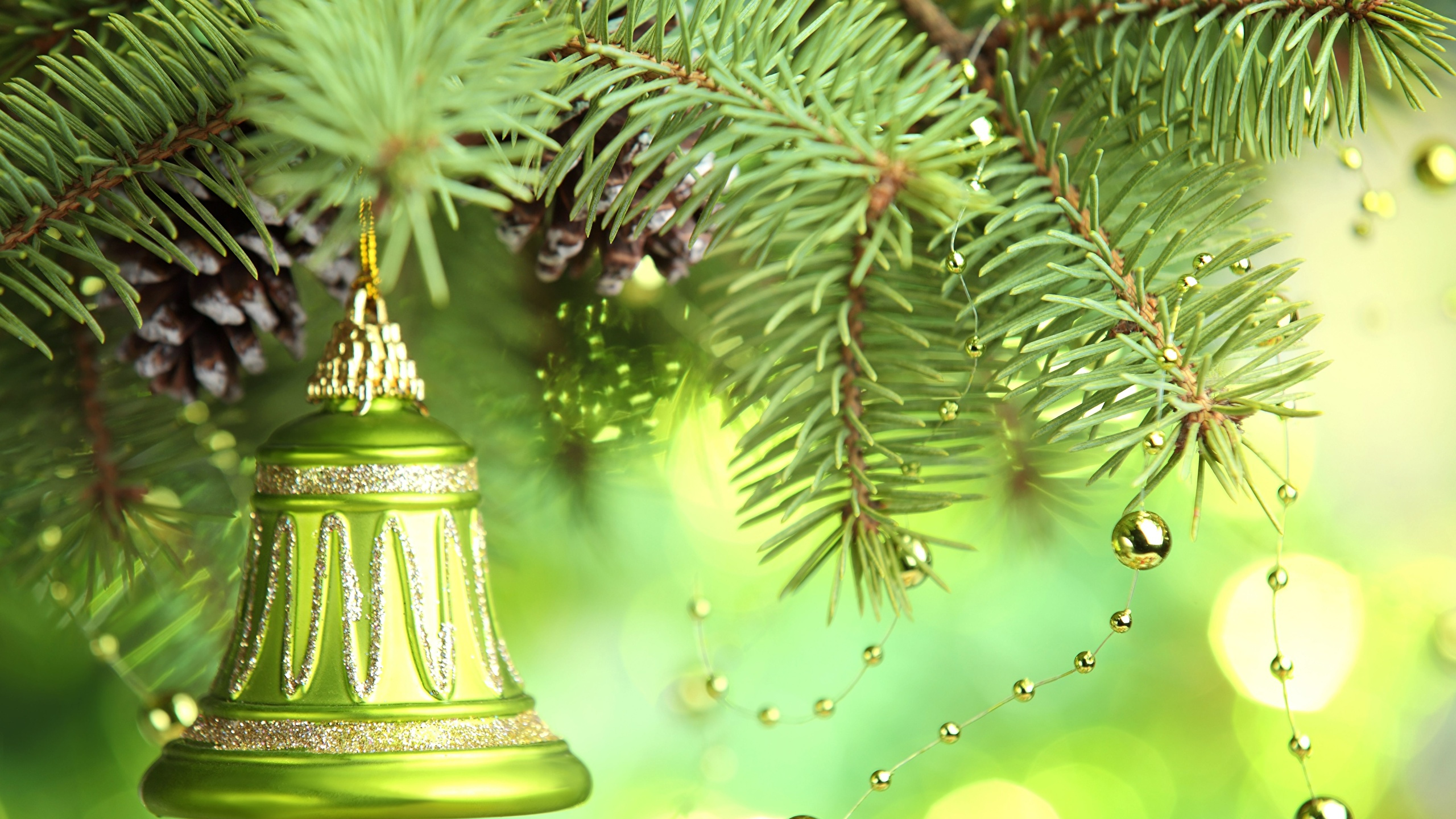 Christmas Day, Christmas Decoration, Tree, Spruce, Fir. Wallpaper in 2560x1440 Resolution