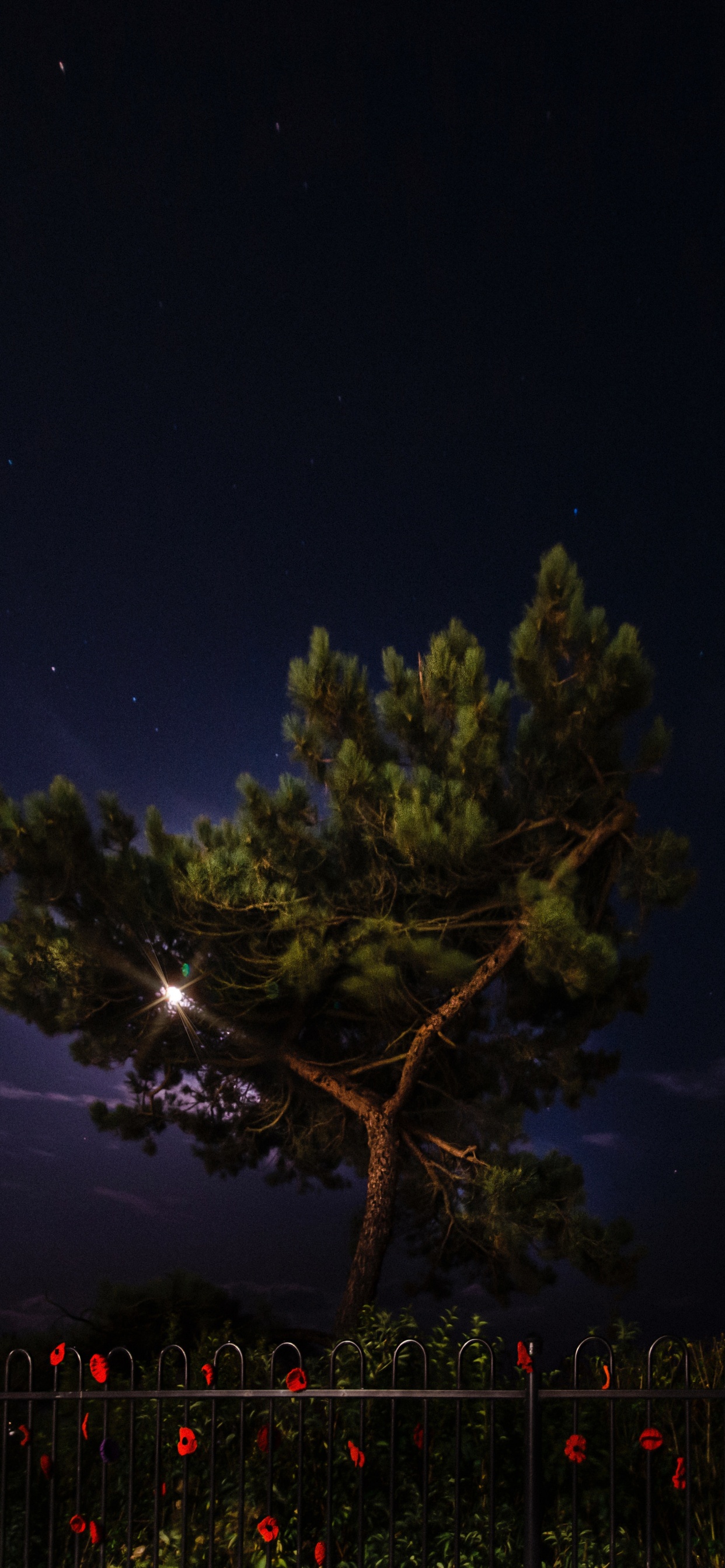 Nuit, Nature, Éclairage, Atmosphère, Minuit. Wallpaper in 1242x2688 Resolution