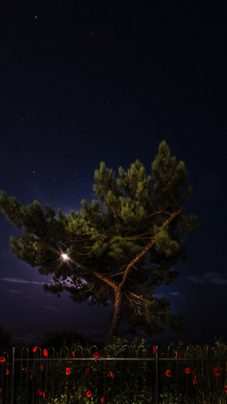 Nuit, Nature, Éclairage, Atmosphère, Minuit. Wallpaper in 750x1334 Resolution