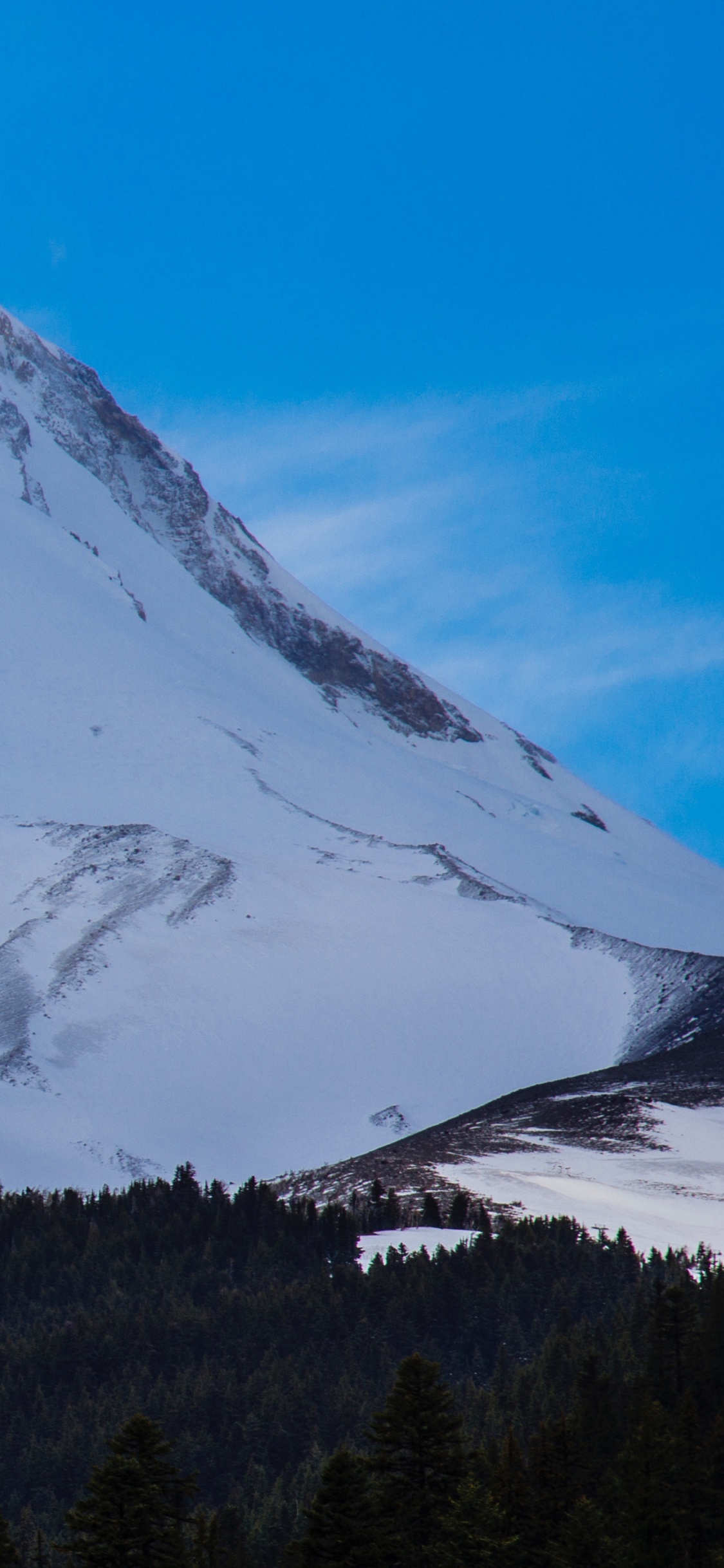 Green Trees Near Snow Covered Mountain During Daytime. Wallpaper in 1125x2436 Resolution