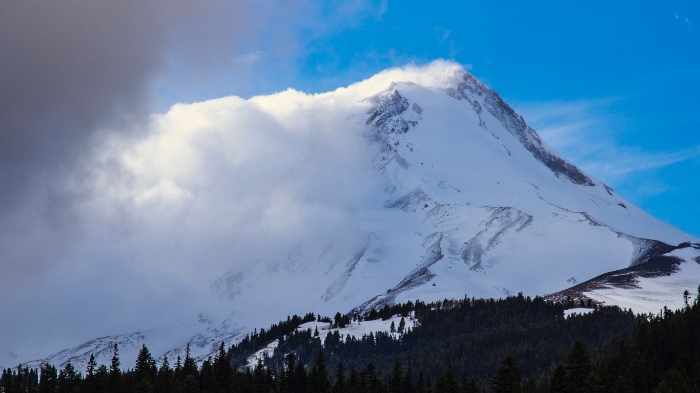 Green Trees Near Snow Covered Mountain During Daytime. Wallpaper in 1366x768 Resolution