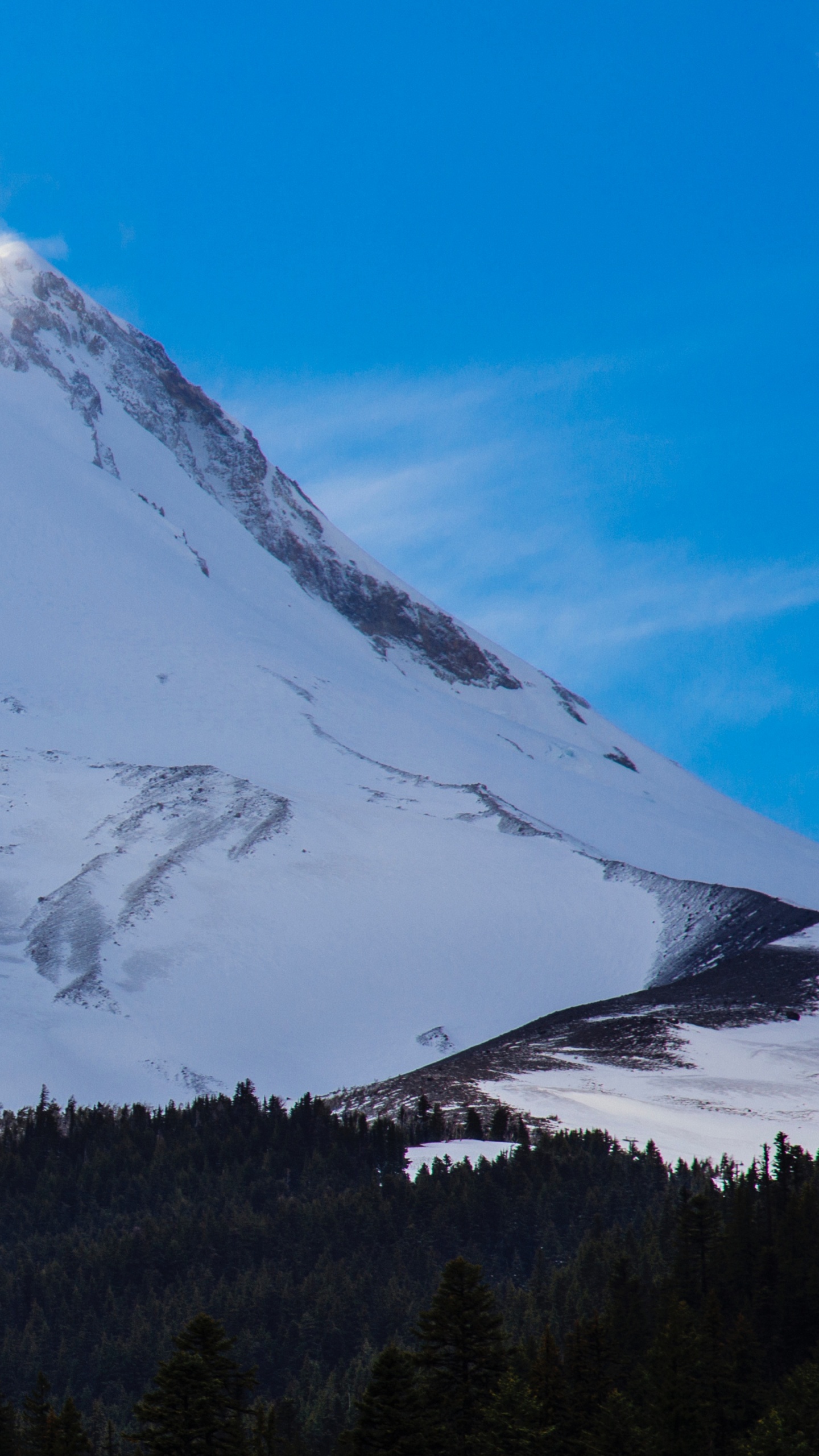 Green Trees Near Snow Covered Mountain During Daytime. Wallpaper in 1440x2560 Resolution