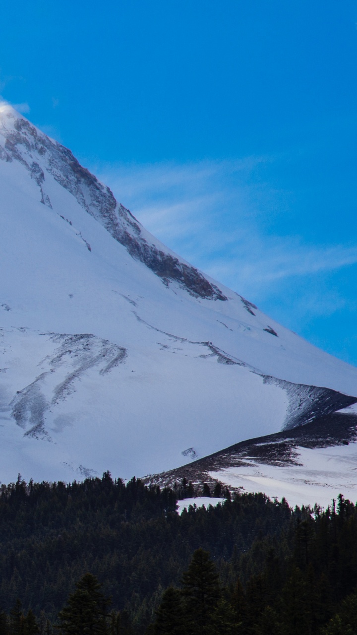 Green Trees Near Snow Covered Mountain During Daytime. Wallpaper in 720x1280 Resolution