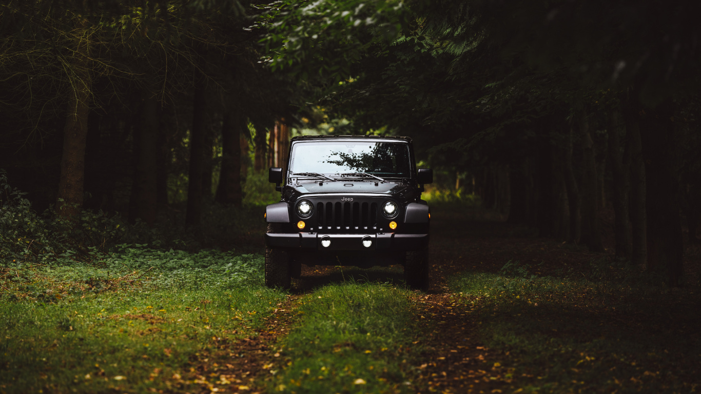 Jeep Wrangler Noir Sur Terrain D'herbe Verte Entouré D'arbres Verts Pendant la Journée. Wallpaper in 1366x768 Resolution