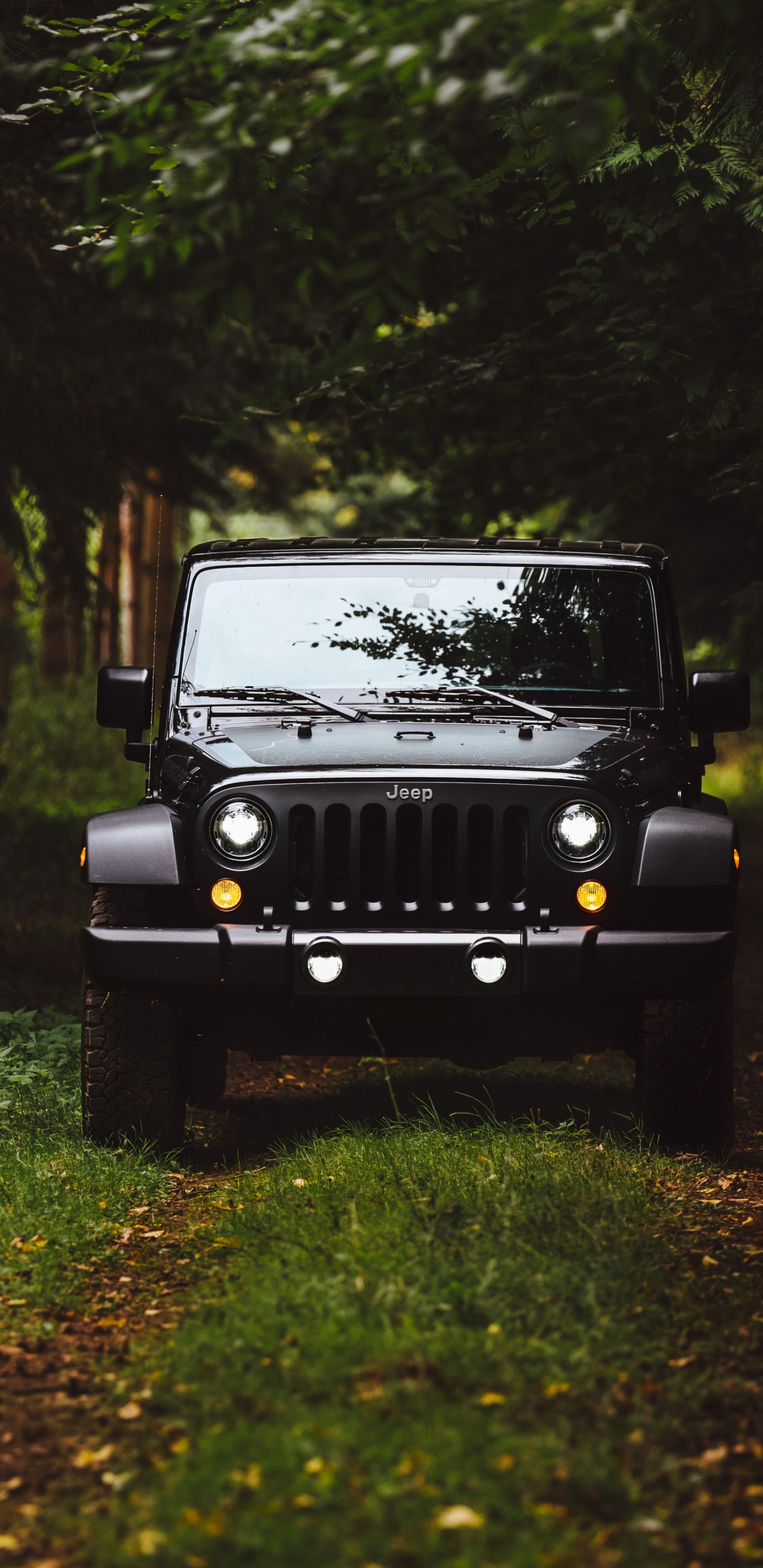 Jeep Wrangler Noir Sur Terrain D'herbe Verte Entouré D'arbres Verts Pendant la Journée. Wallpaper in 1440x2960 Resolution