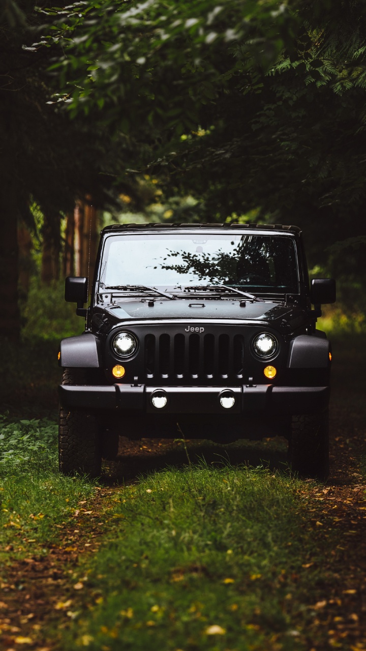 Jeep Wrangler Noir Sur Terrain D'herbe Verte Entouré D'arbres Verts Pendant la Journée. Wallpaper in 720x1280 Resolution