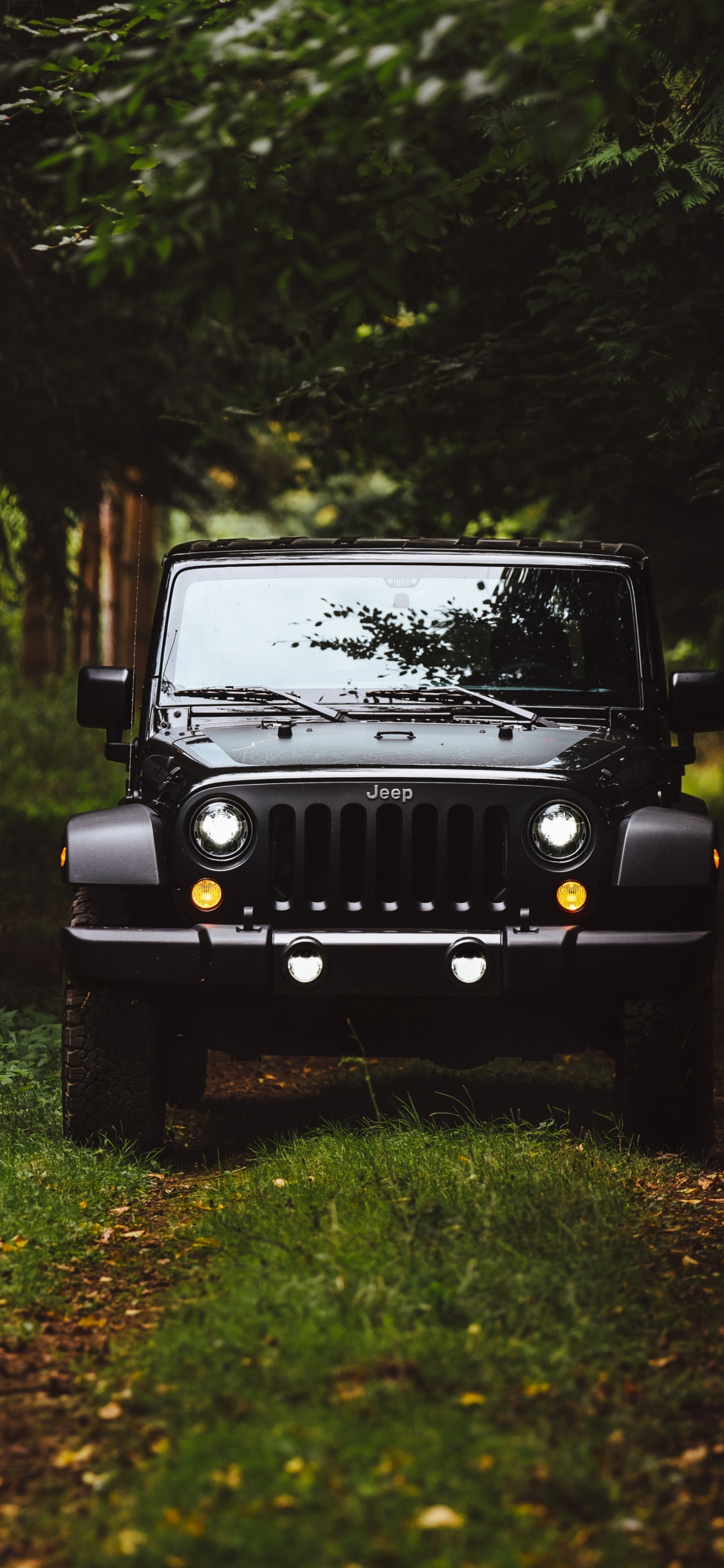 Black Jeep Wrangler on Green Grass Field Surrounded by Green Trees During Daytime. Wallpaper in 1125x2436 Resolution