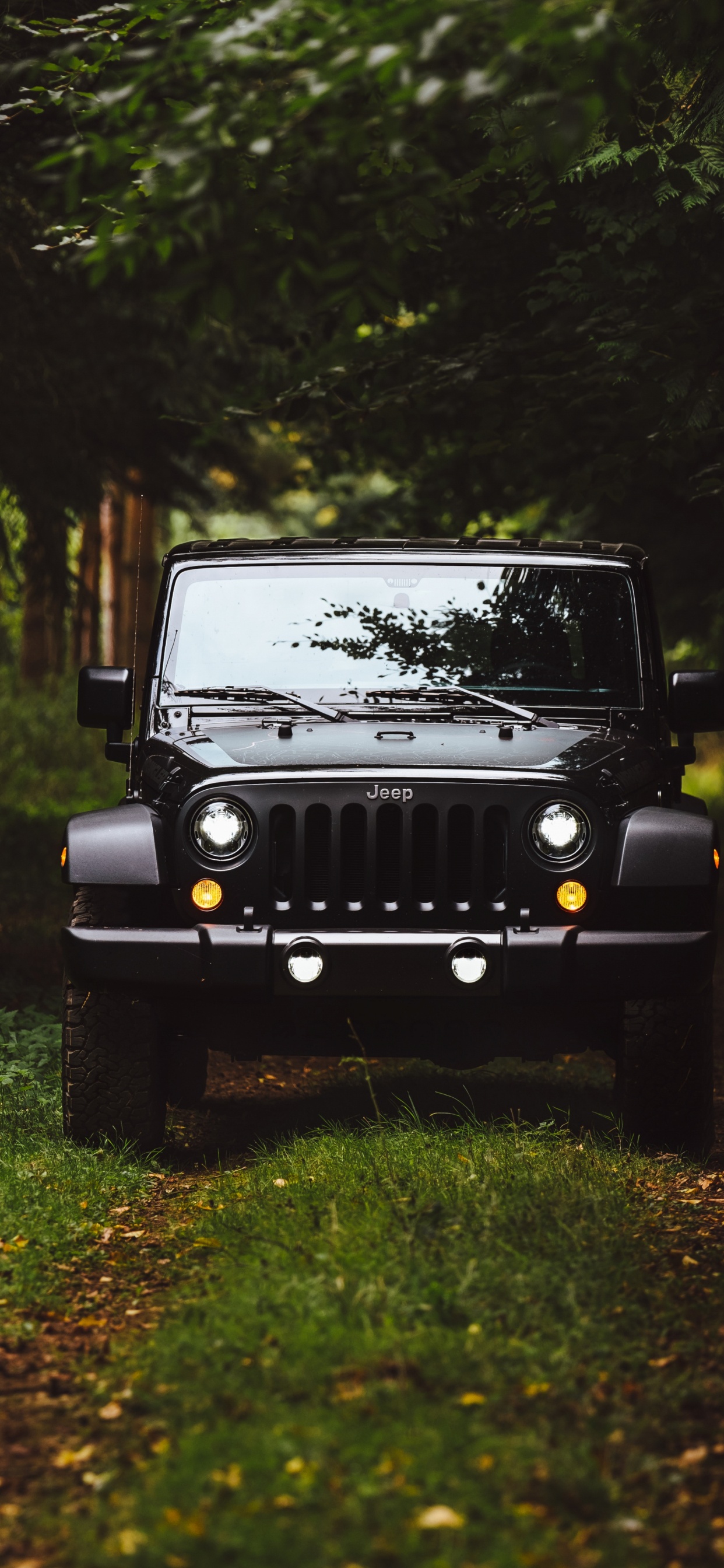 Black Jeep Wrangler on Green Grass Field Surrounded by Green Trees During Daytime. Wallpaper in 1242x2688 Resolution