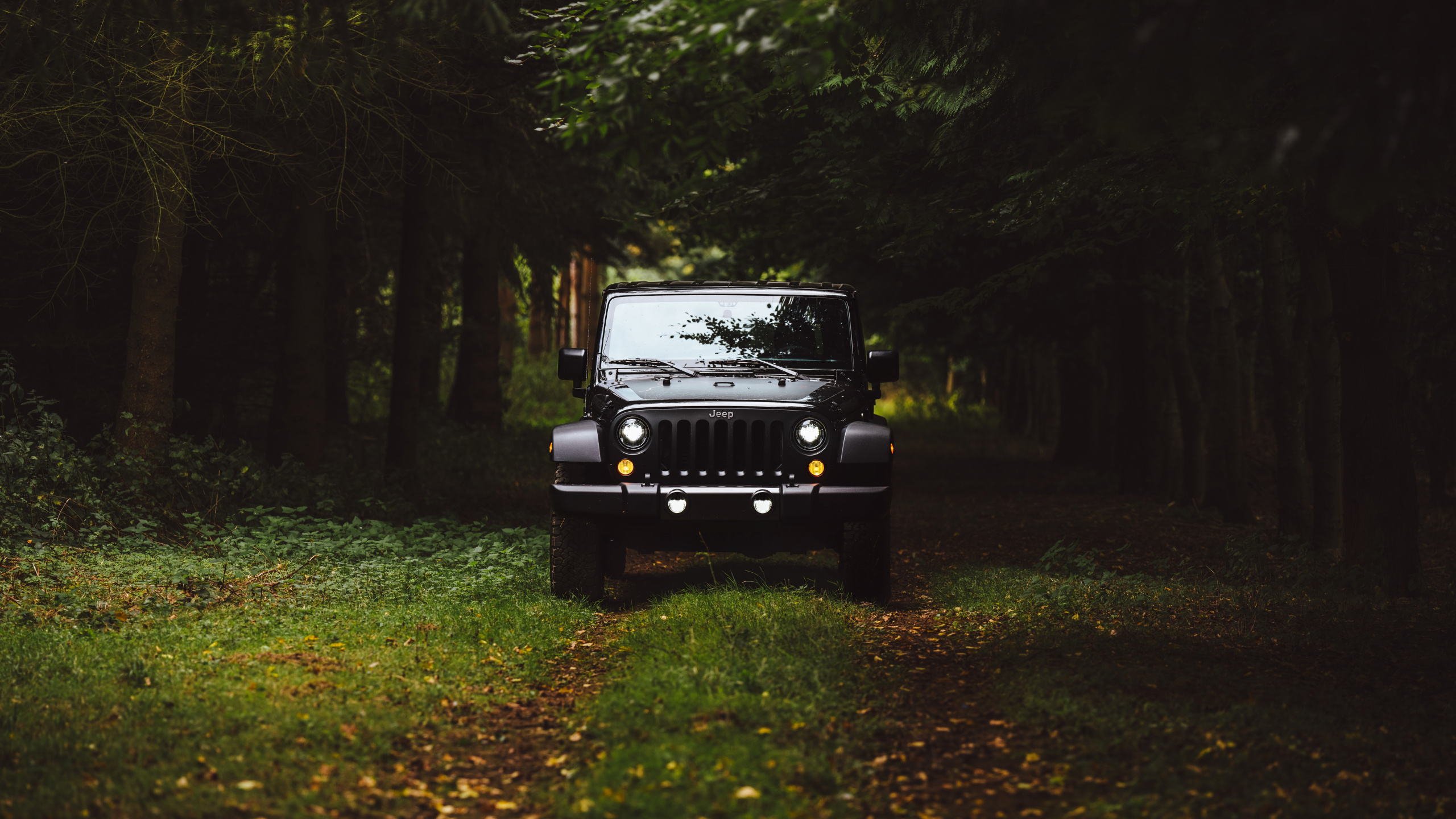 Black Jeep Wrangler on Green Grass Field Surrounded by Green Trees During Daytime. Wallpaper in 2560x1440 Resolution
