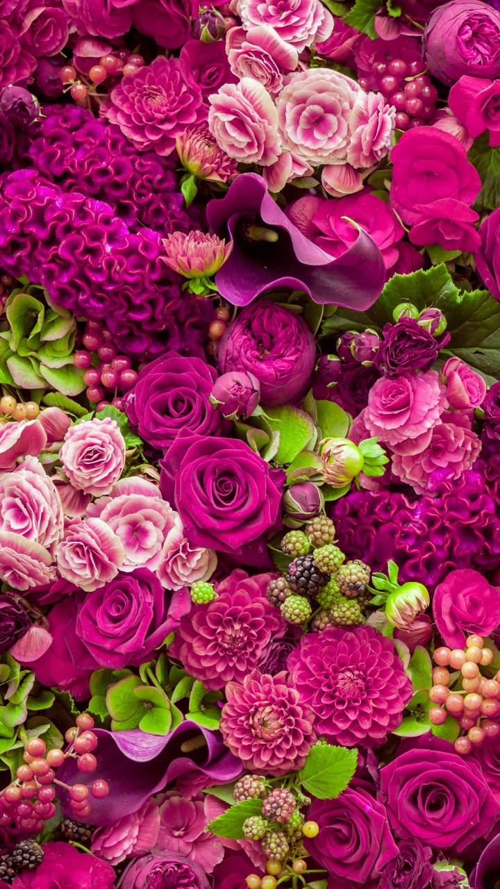 Beautiful Pink Flowers, Flower, Rose, Pink, Flower Bouquet. Wallpaper in 720x1280 Resolution