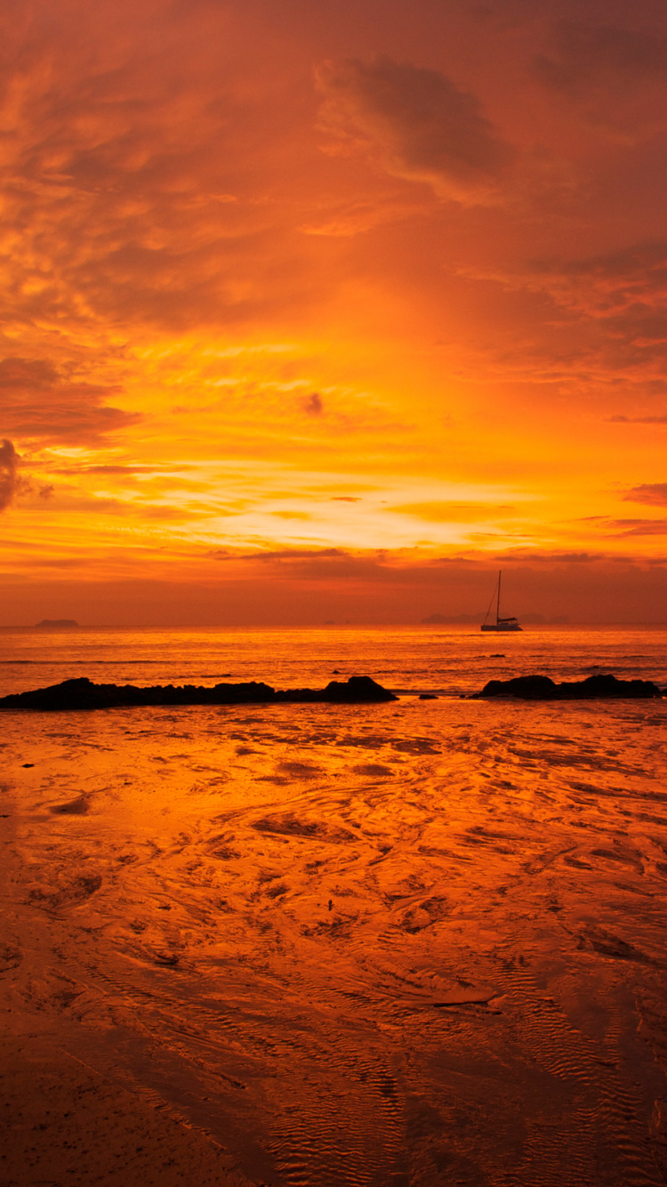 Les Gens Sur la Plage Pendant le Coucher du Soleil. Wallpaper in 750x1334 Resolution