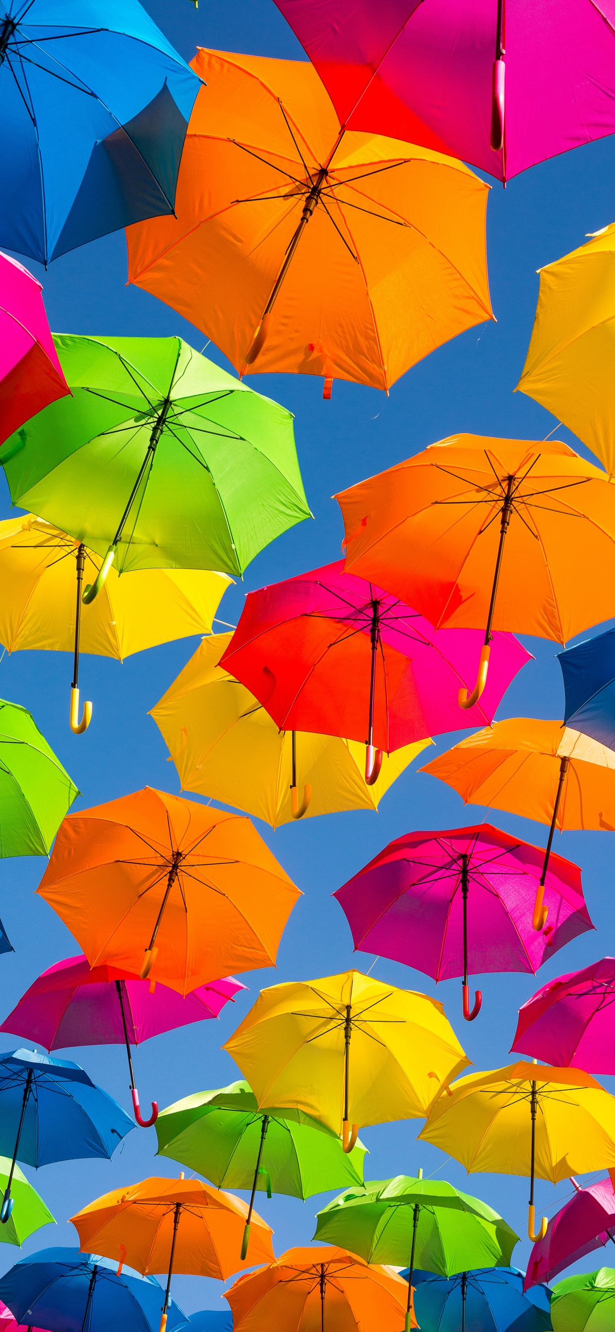 Rosa Regenschirm Auf Blauem Regenschirm. Wallpaper in 1242x2688 Resolution