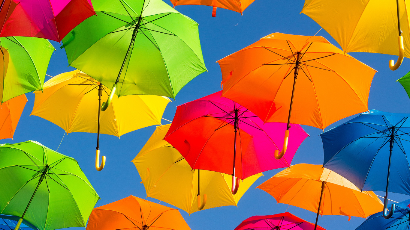 Pink Umbrella on Blue Umbrella. Wallpaper in 1366x768 Resolution