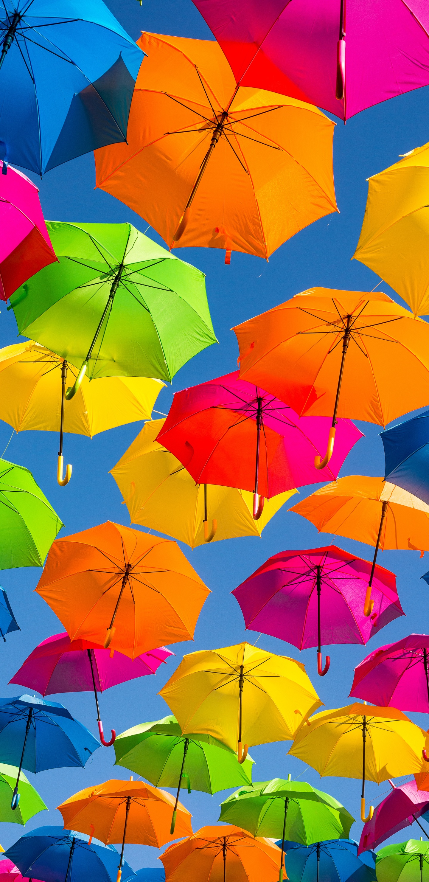 Paraguas Rosa Sobre Paraguas Azul. Wallpaper in 1440x2960 Resolution
