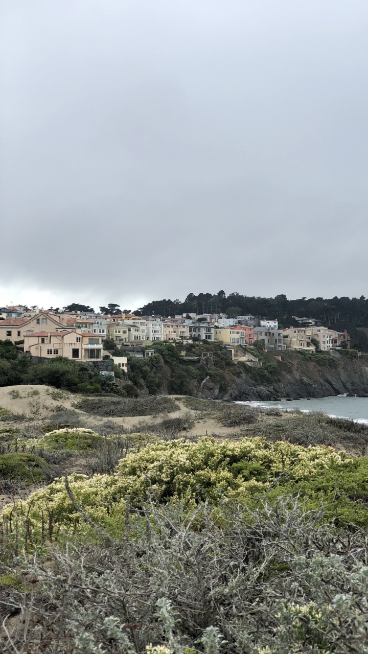 Coast, Science, Biology, Vegetation, Plant Community. Wallpaper in 720x1280 Resolution