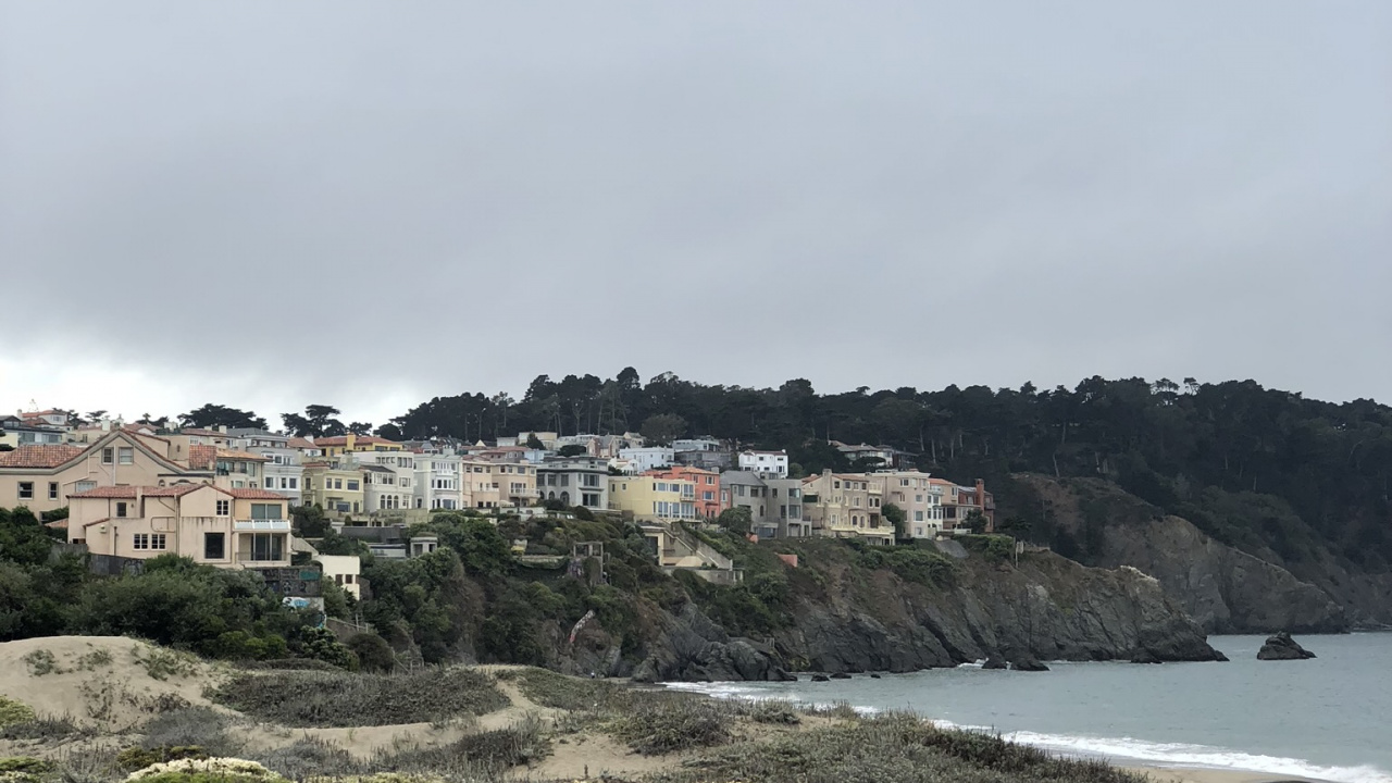 海岸, 科学, 生物学, 植被, 植物群 壁纸 1280x720 允许