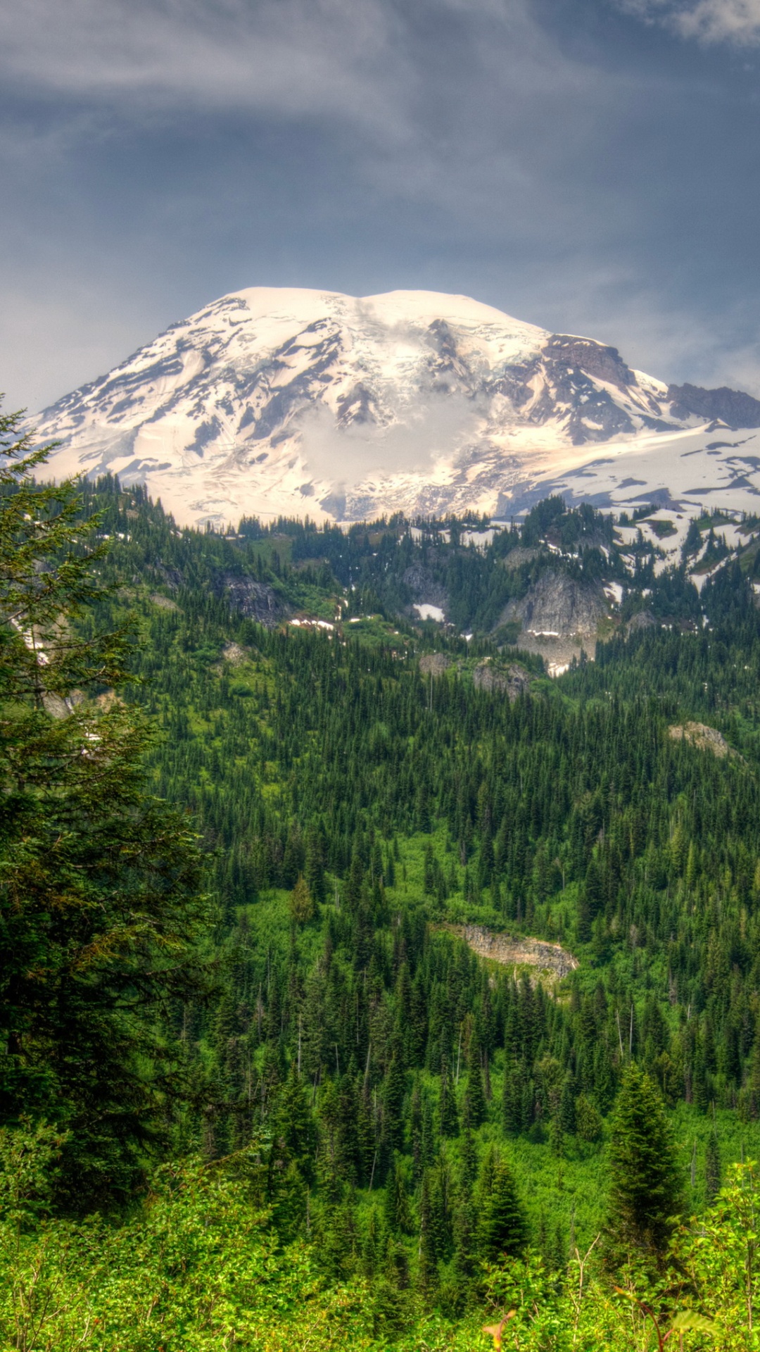 Green Trees Near Snow Covered Mountain Under Cloudy Sky During Daytime. Wallpaper in 1080x1920 Resolution
