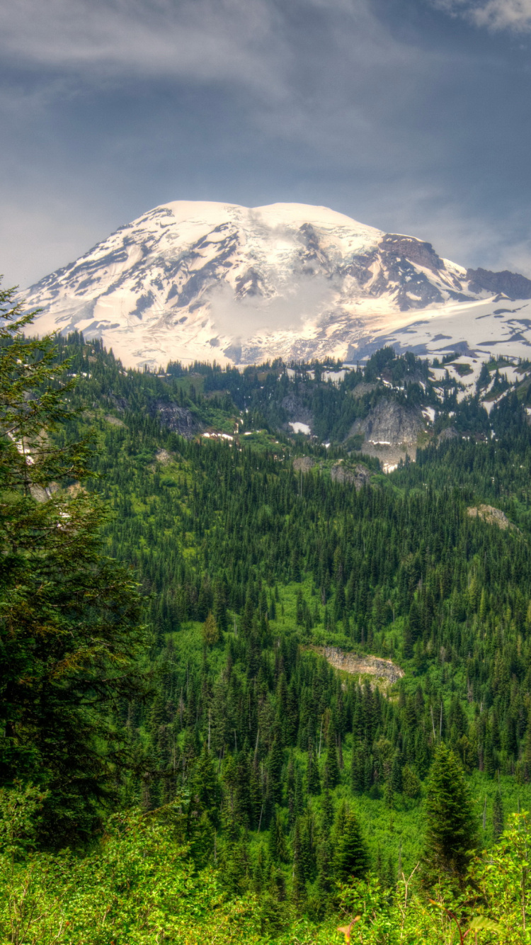 Green Trees Near Snow Covered Mountain Under Cloudy Sky During Daytime. Wallpaper in 750x1334 Resolution