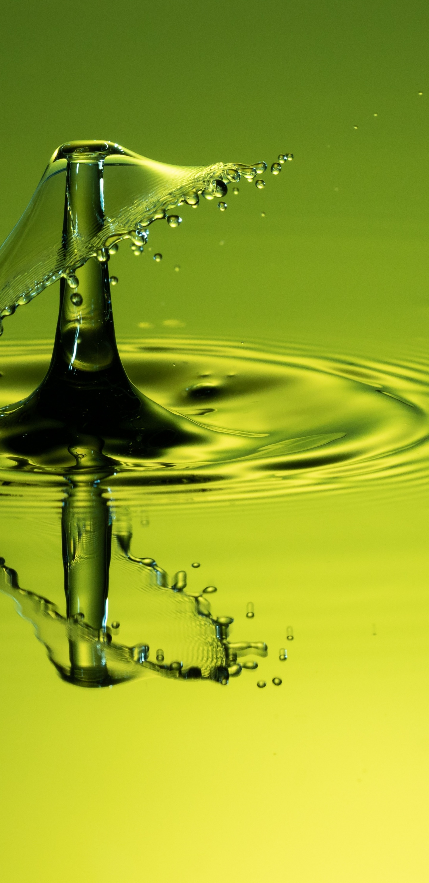 Gota de Agua en el Agua en Fotografía de Cerca. Wallpaper in 1440x2960 Resolution