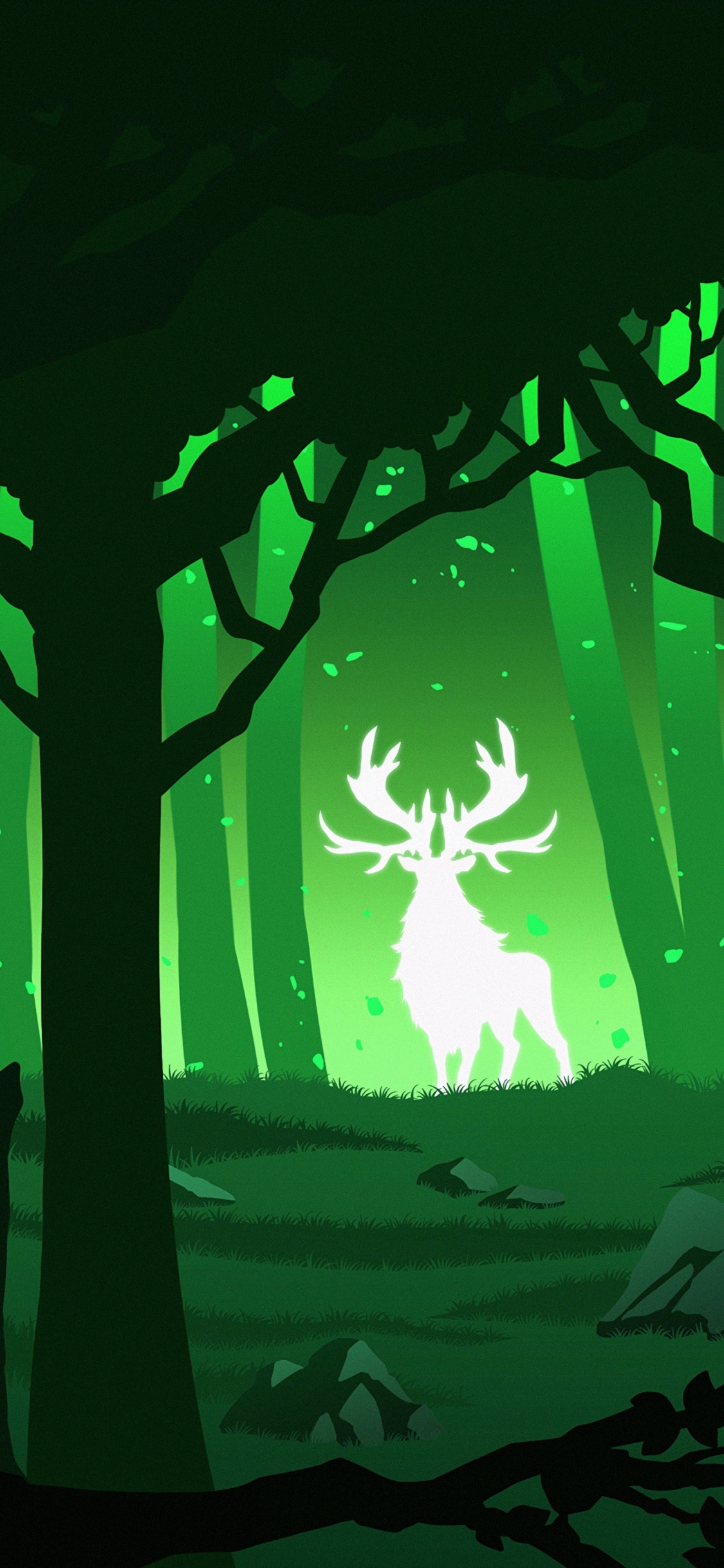 Silhouette Von Bäumen Während Der Nacht. Wallpaper in 1125x2436 Resolution