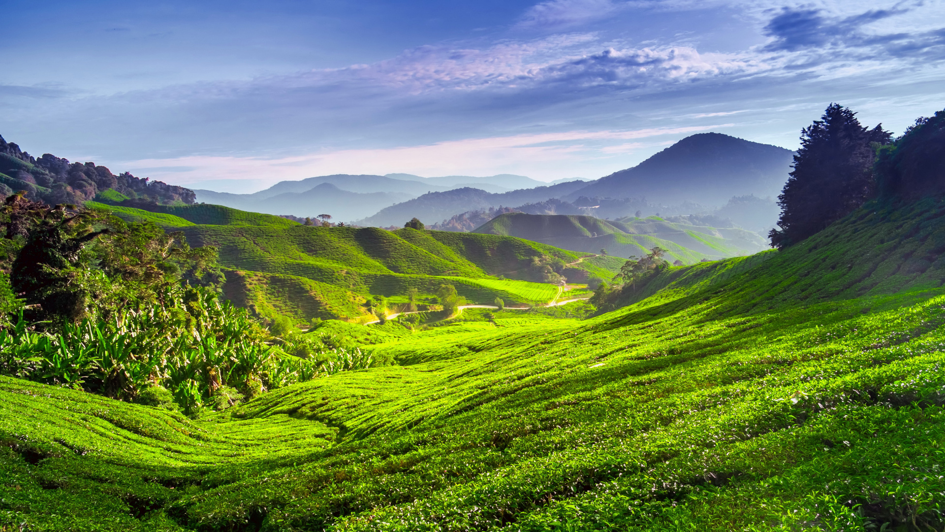 Green Grass Field Under Blue Sky During Daytime. Wallpaper in 1920x1080 Resolution
