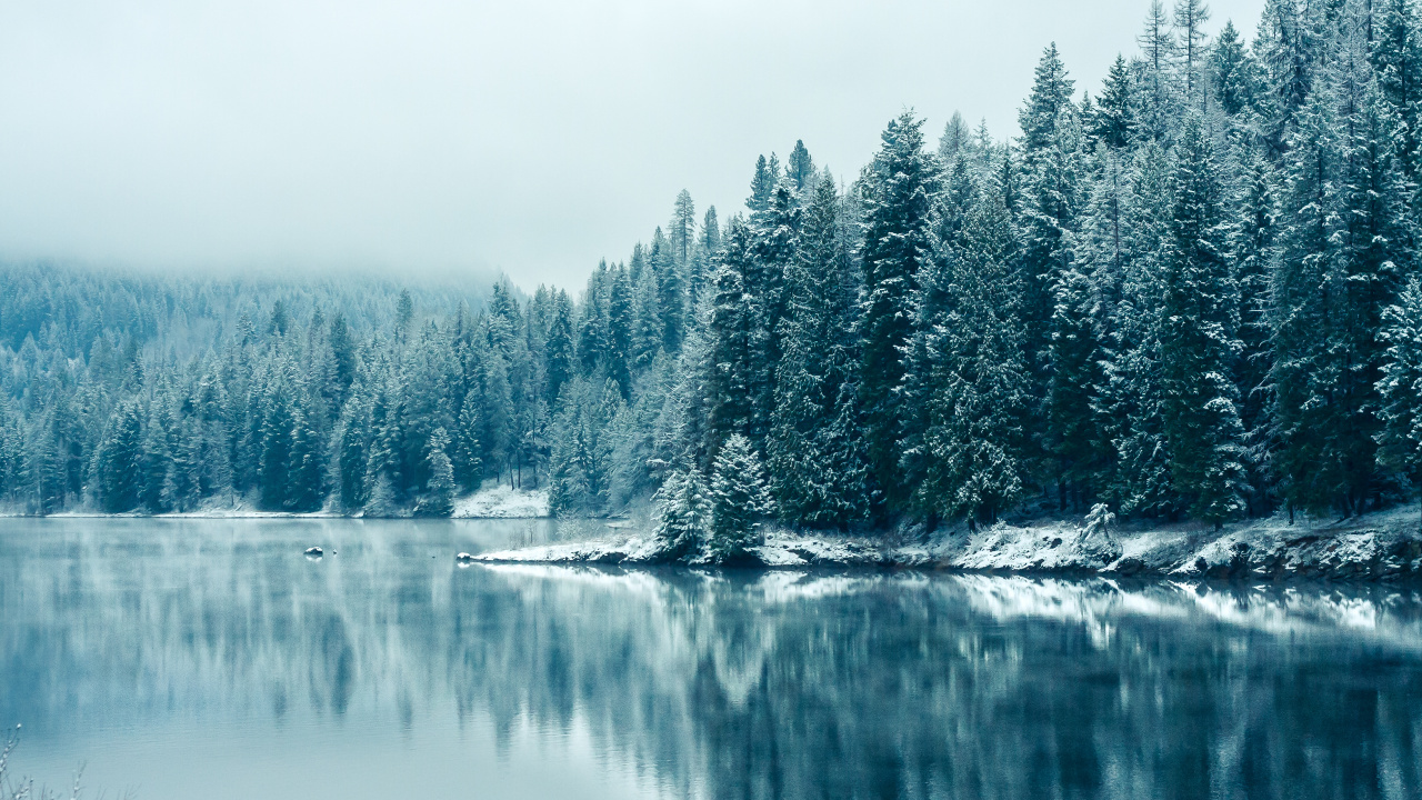 Tablet, Wasser, Wasserressourcen, Baum, Naturlandschaft. Wallpaper in 1280x720 Resolution