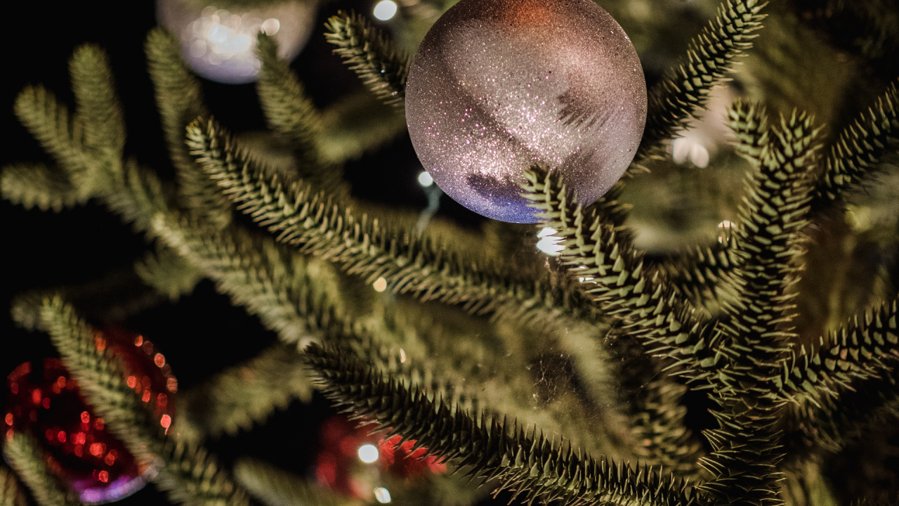 Boules Bleues Sur L'arbre de Noël Vert. Wallpaper in 1280x720 Resolution