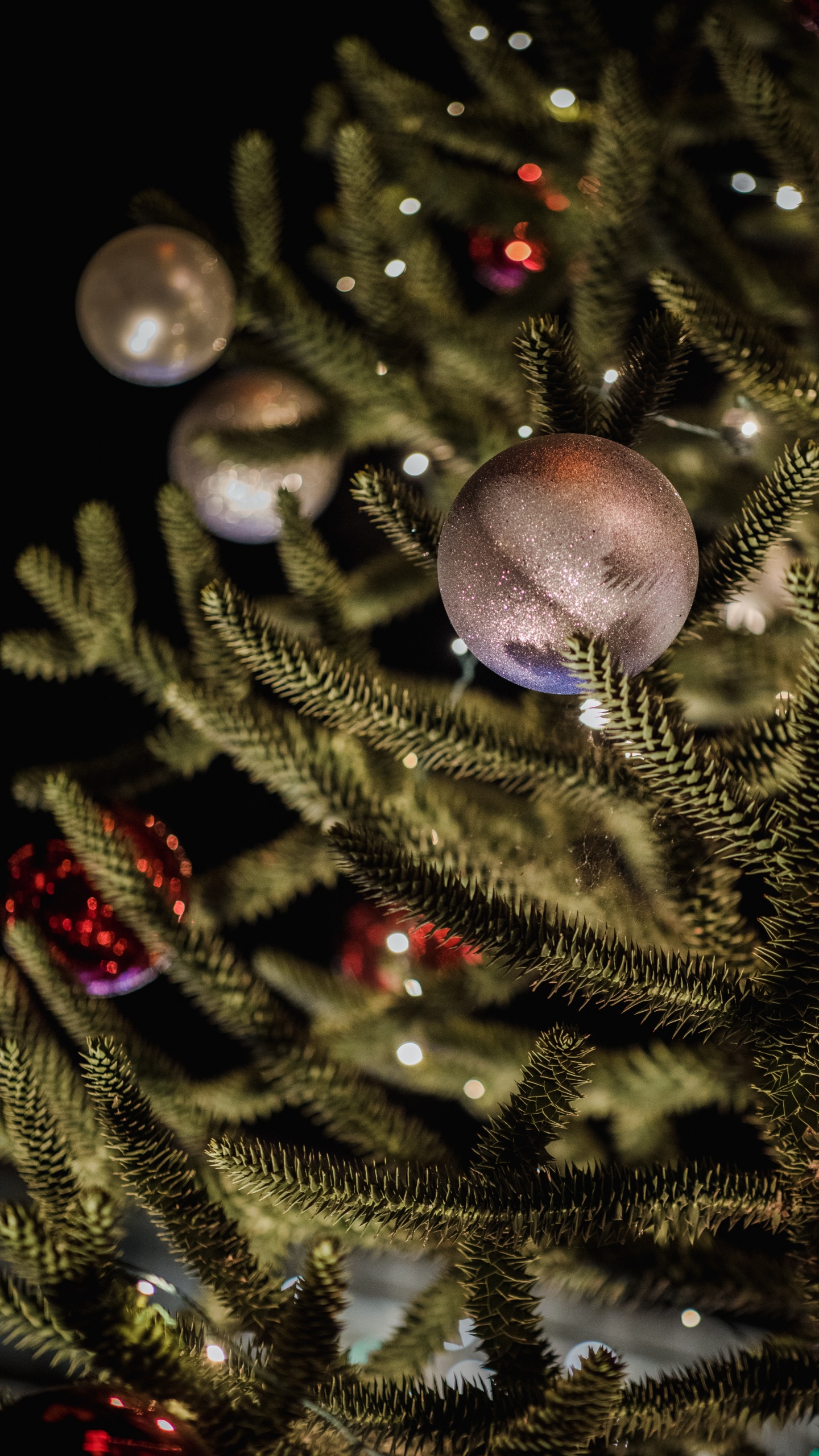 Boules Bleues Sur L'arbre de Noël Vert. Wallpaper in 1440x2560 Resolution