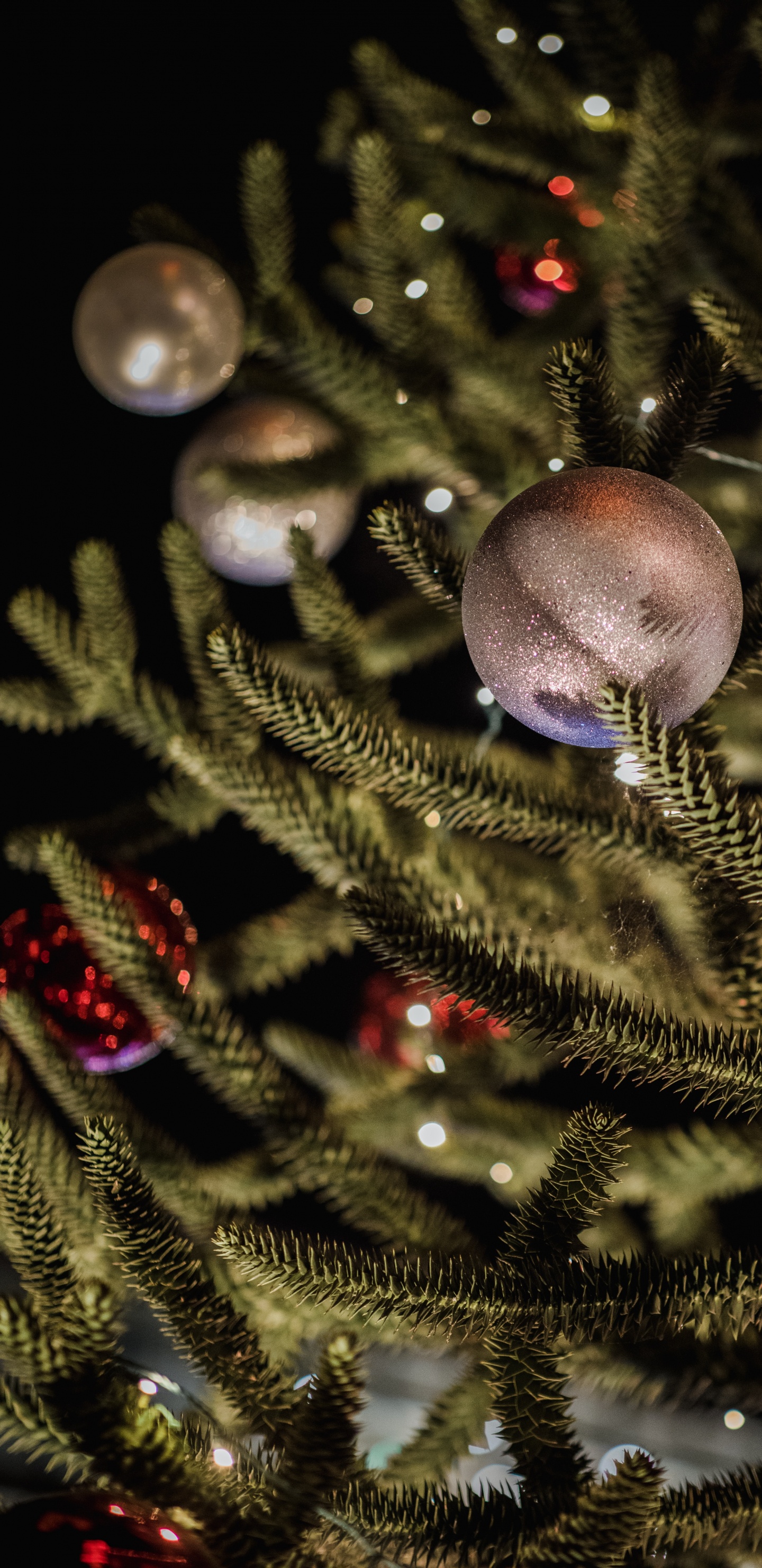Boules Bleues Sur L'arbre de Noël Vert. Wallpaper in 1440x2960 Resolution