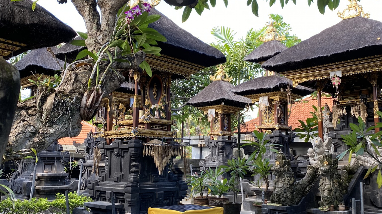 Bali, Baum, Shinto-Schrein, Dach, Garden. Wallpaper in 1280x720 Resolution