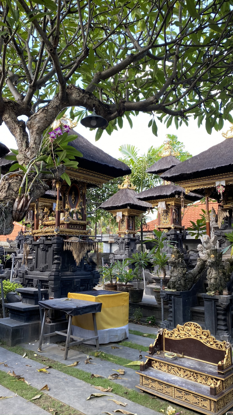 Bali, Baum, Shinto-Schrein, Dach, Garden. Wallpaper in 750x1334 Resolution