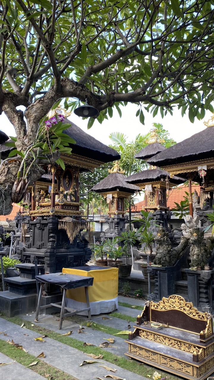 Bali, Sanctuaire Shinto, Toit, Garden, Temple. Wallpaper in 720x1280 Resolution