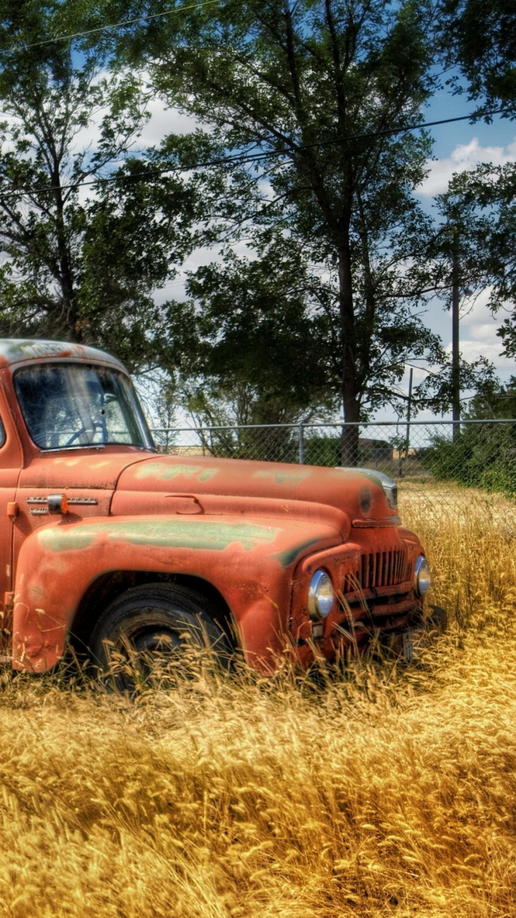 Red Single Cab Pickup Truck on Brown Grass Field Near Green Trees Under White Clouds And. Wallpaper in 750x1334 Resolution