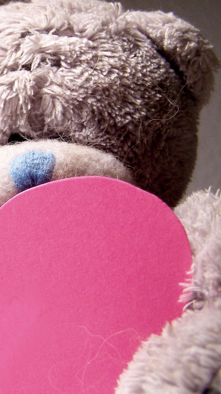 Teddybär, Stofftier, Pink, Spielzeug, Liebe. Wallpaper in 720x1280 Resolution