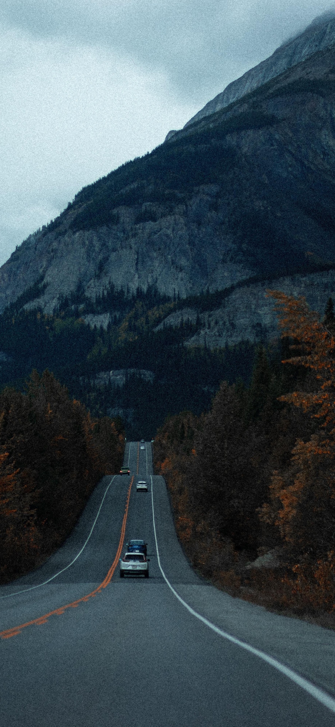 Highland, L'écorégion, Paysage Naturel, Infrastructure, Surface de la Route. Wallpaper in 1125x2436 Resolution