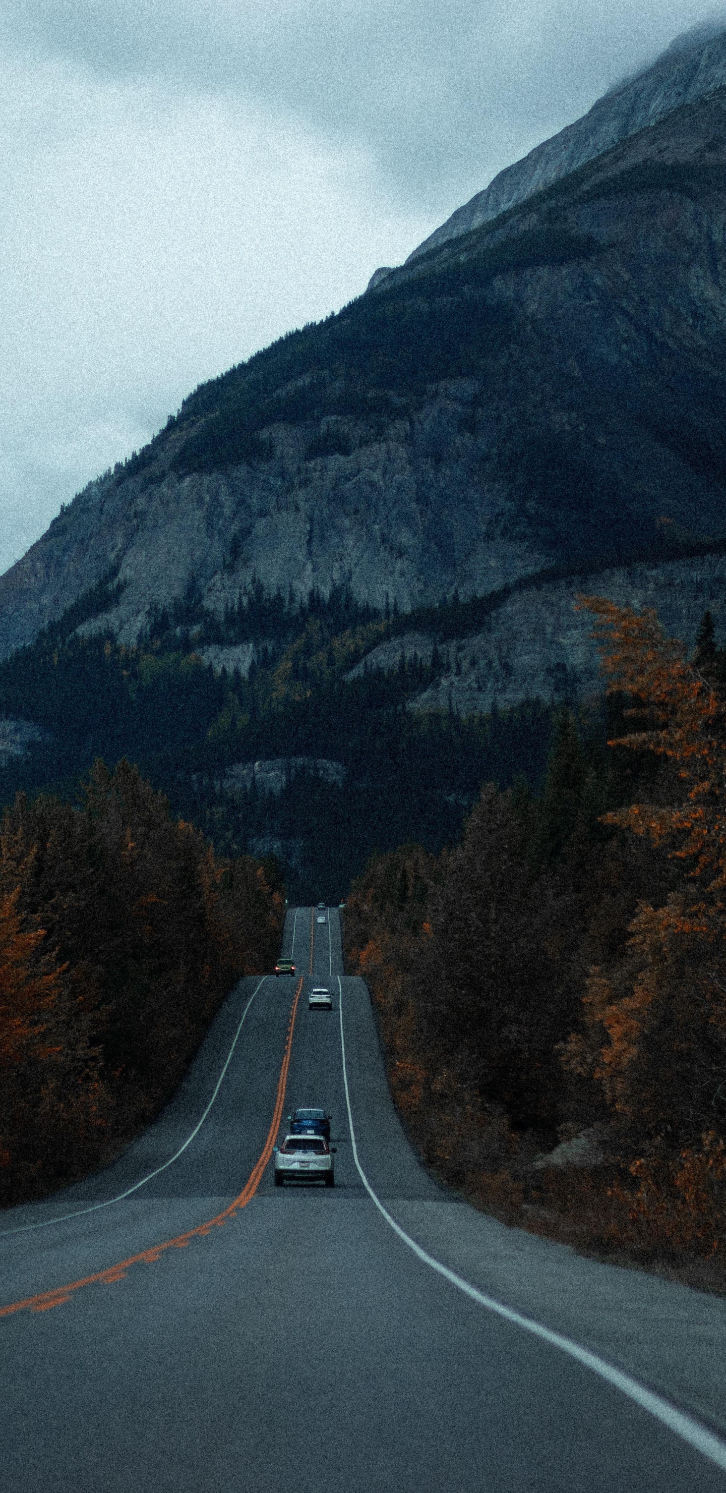 Highland, Montaña, Coche, Ecorregión, Paisaje Natural. Wallpaper in 1440x2960 Resolution