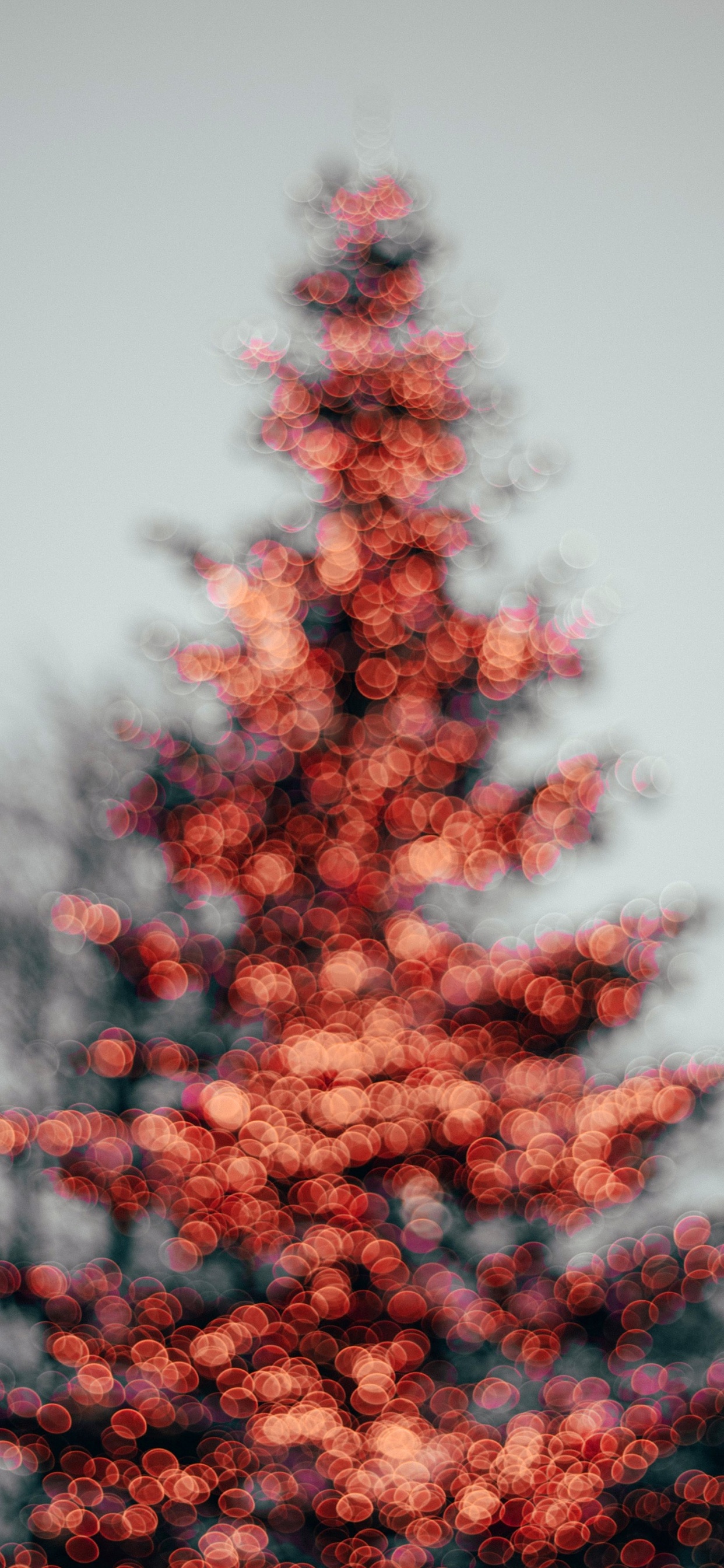 Arbre de Noël, Patron de Couture, Feuille, Mélèze, Evergreen. Wallpaper in 1242x2688 Resolution