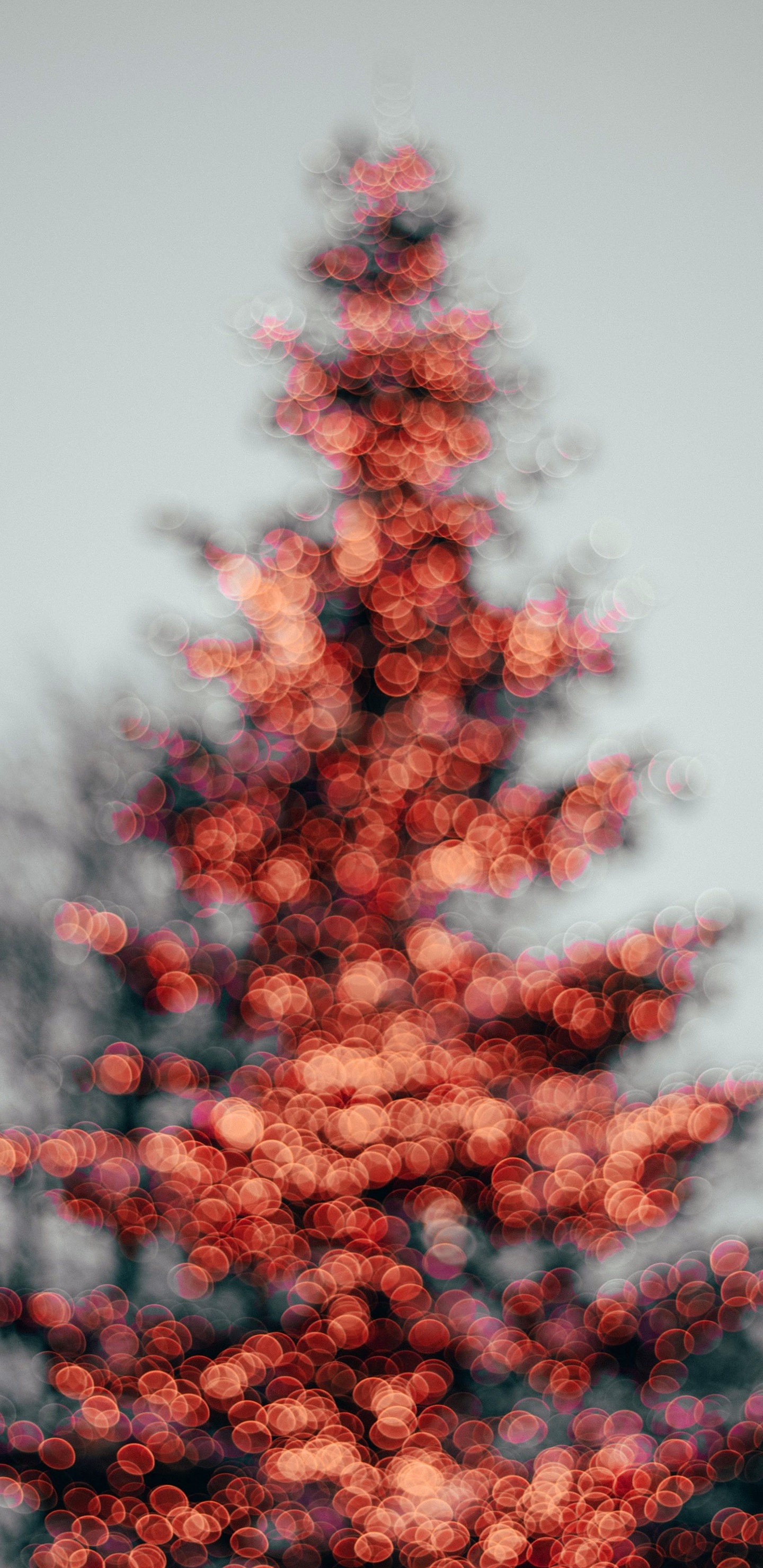 Christmas Tree, Sewing, Sewing Pattern, Pattern, Christmas. Wallpaper in 1440x2960 Resolution