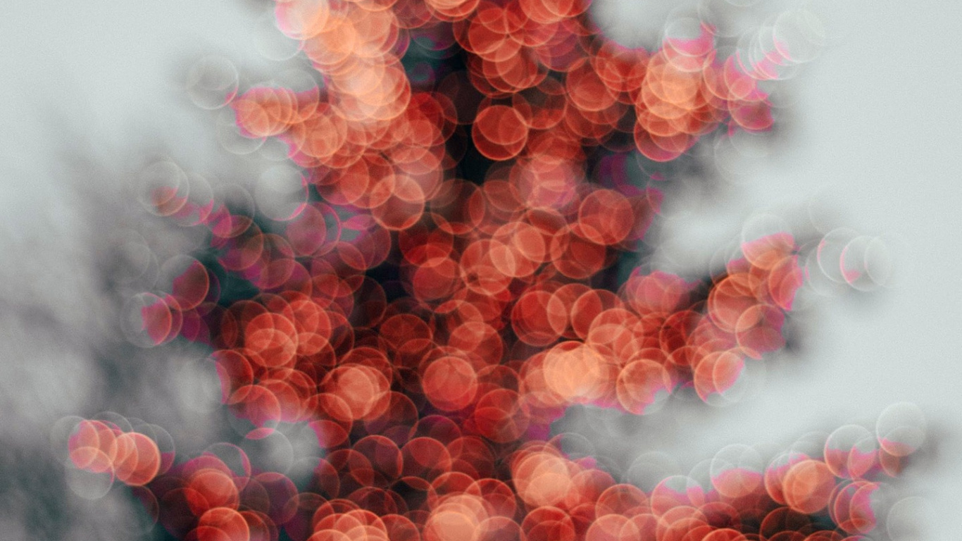 Weihnachtsbaum, Näh, Schnittmuster, Muster, Blatt. Wallpaper in 1366x768 Resolution