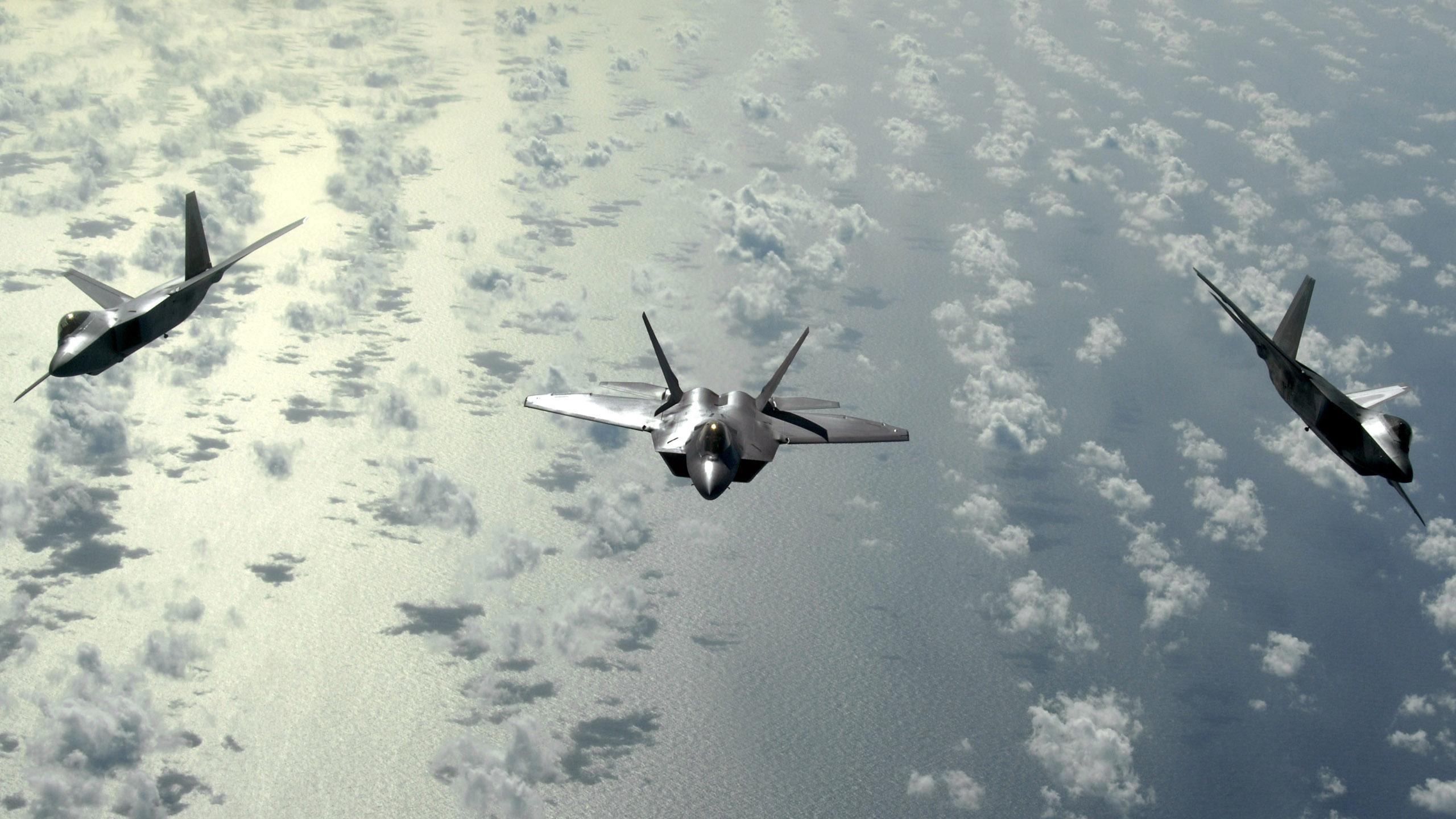 Avion Noir et Blanc Volant Dans le Ciel. Wallpaper in 2560x1440 Resolution